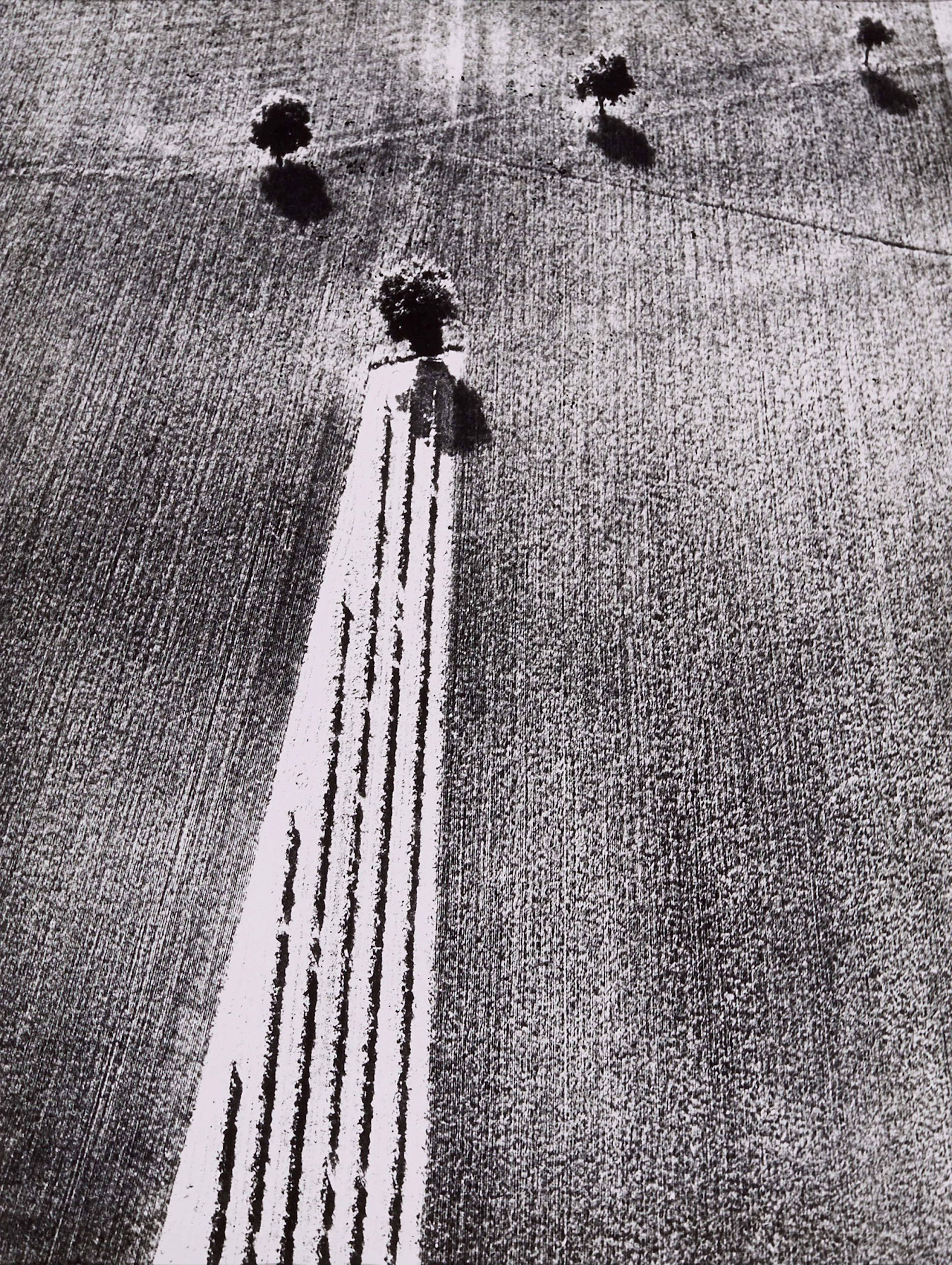 Selected Images (Aerial Landscapes)
