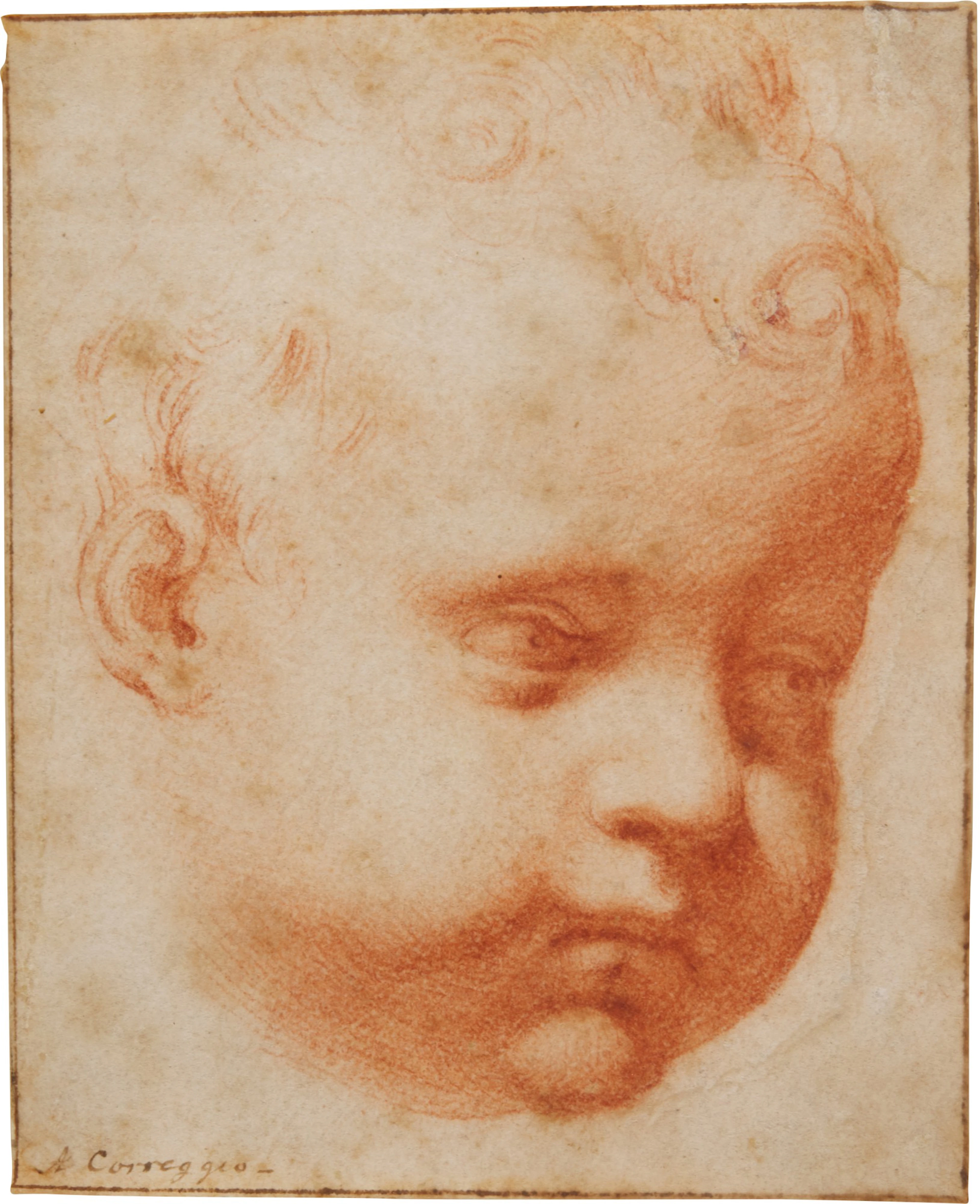 Head of a young child