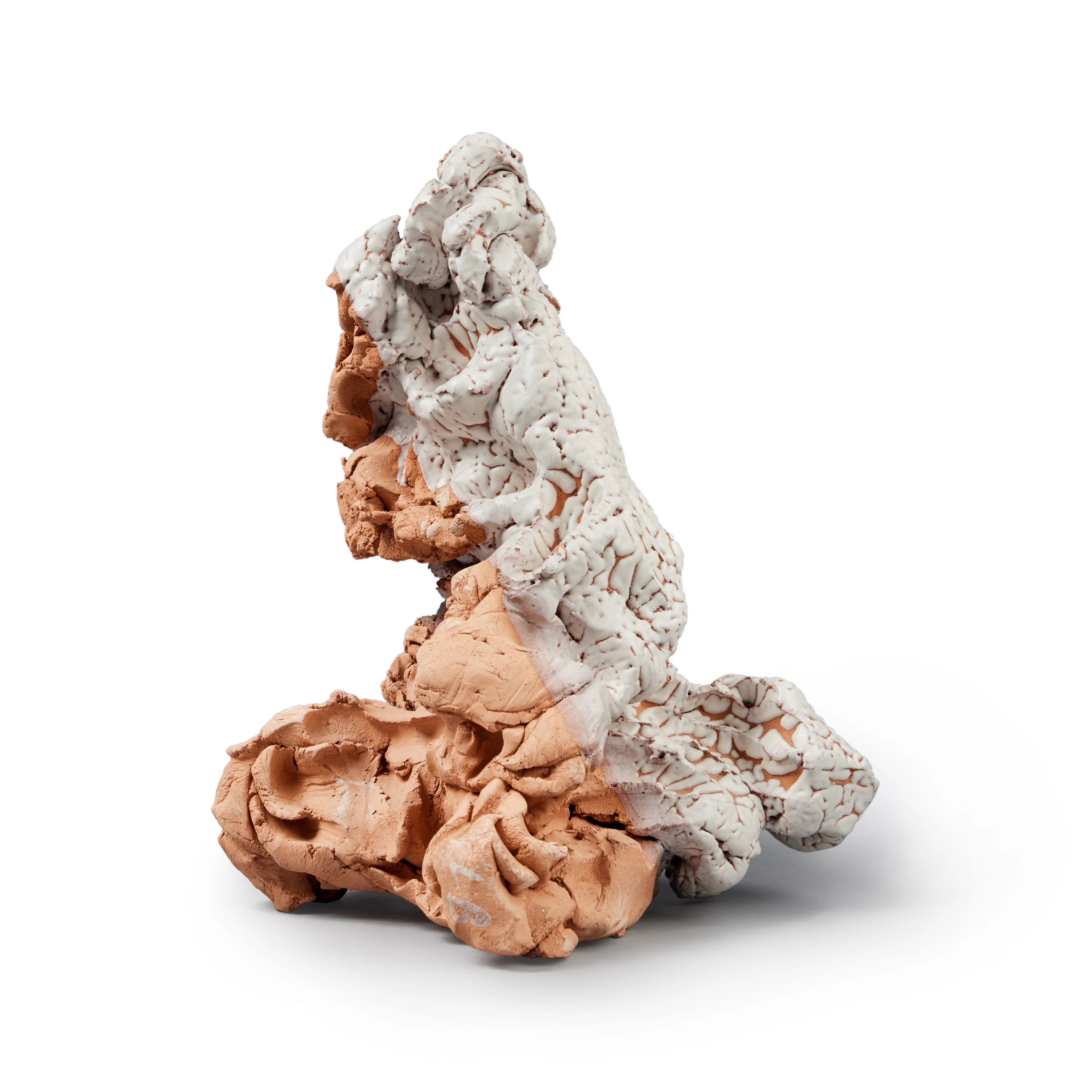 Palm-Phallus/Landscape II