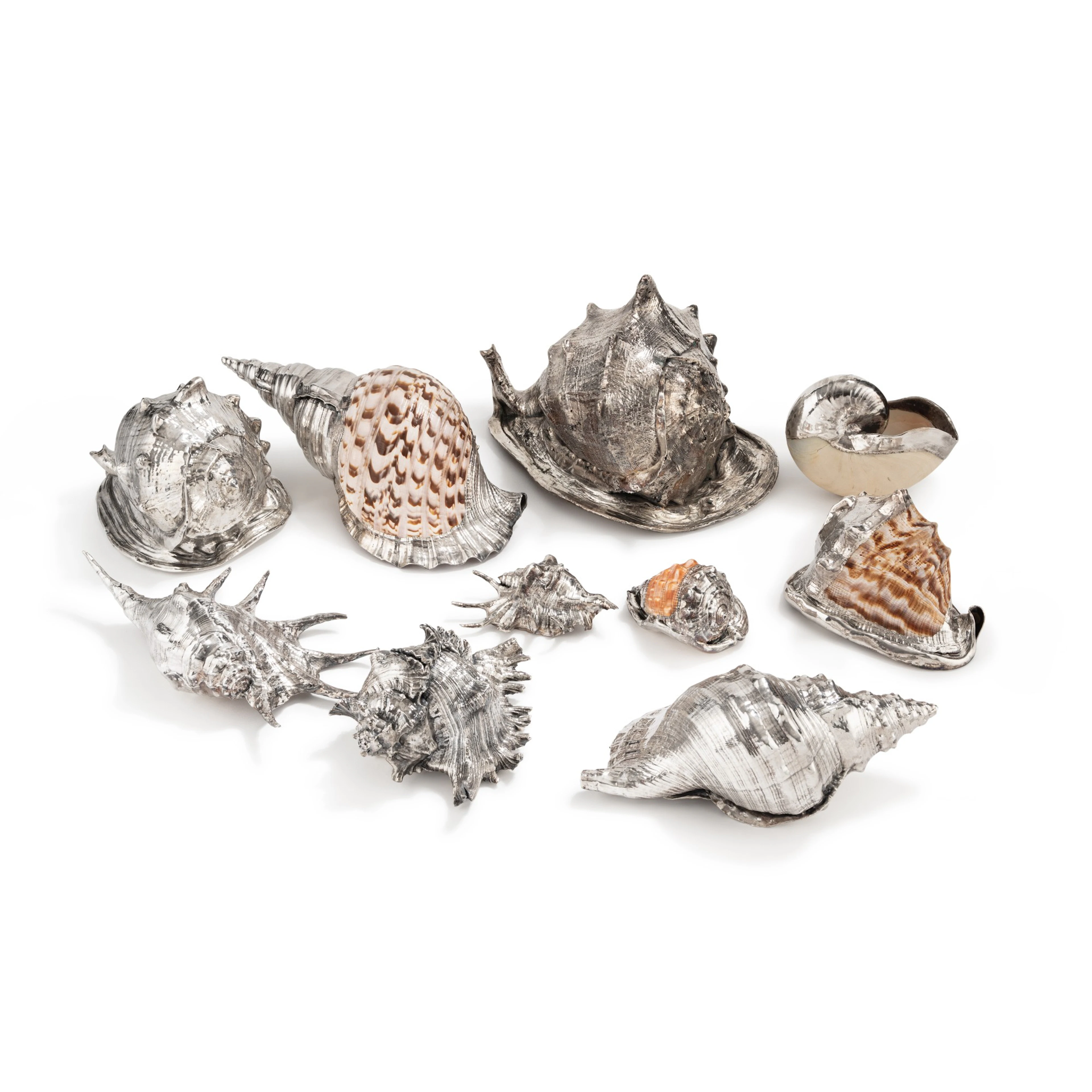 A set of 10 silver covered shells
