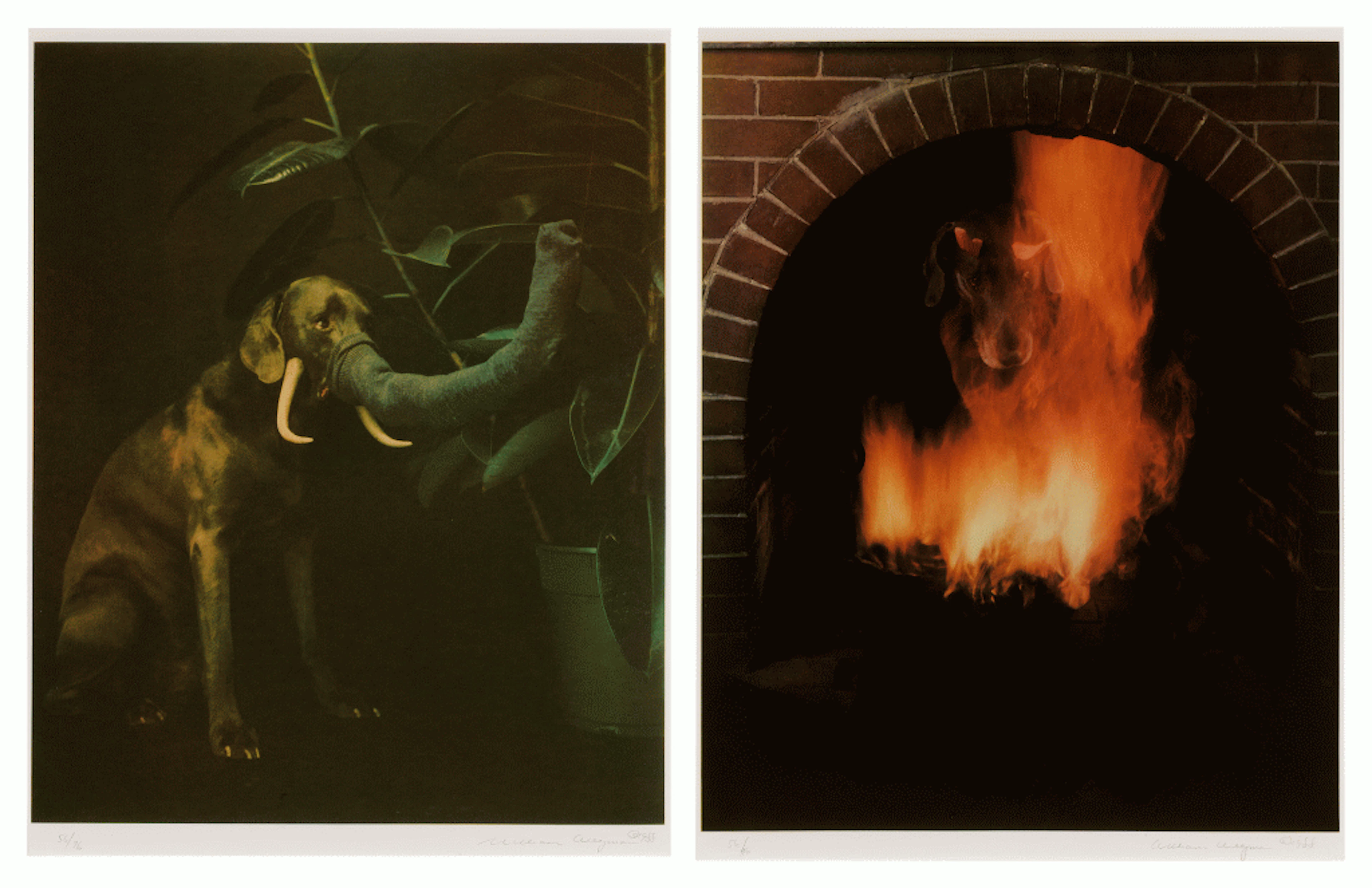 Two Prints
