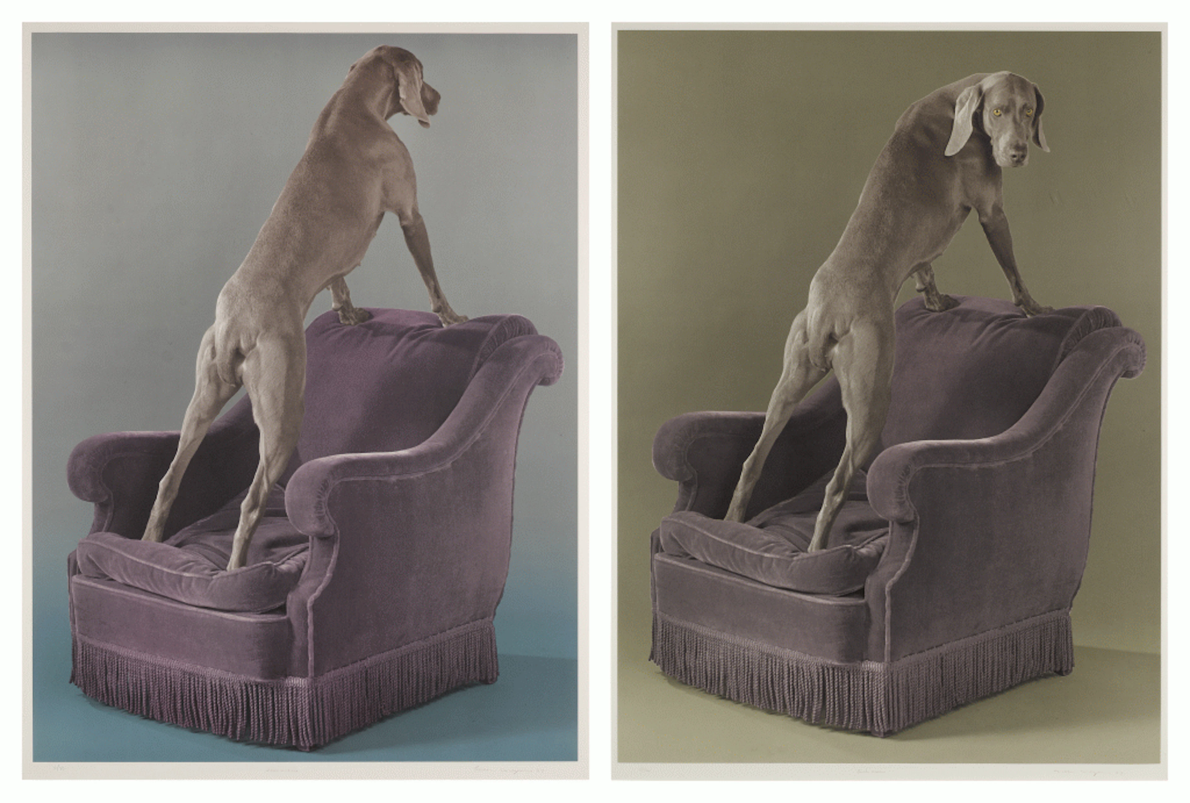 Armed Chair: Two prints