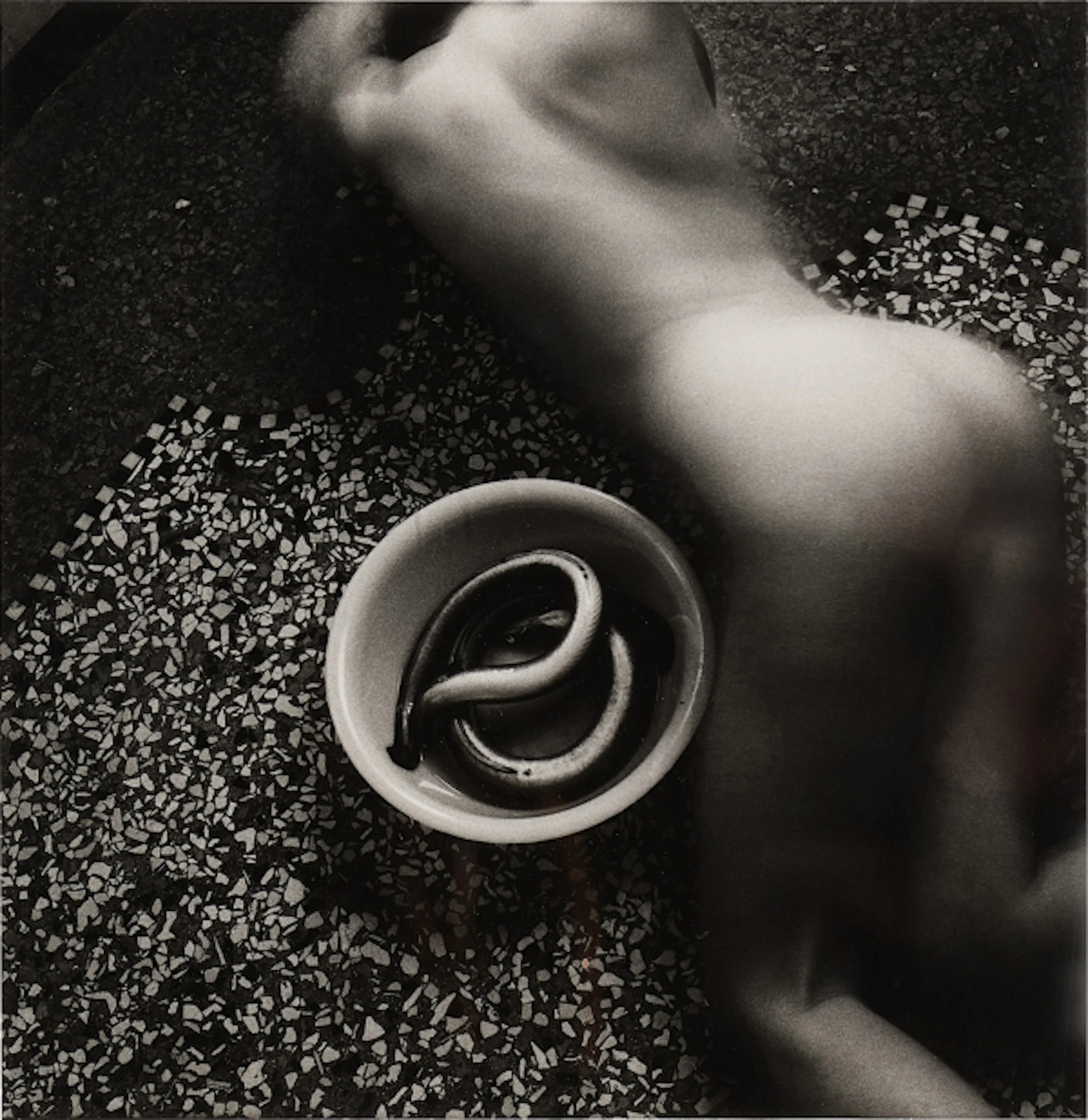 Untitled (from Eel Series)