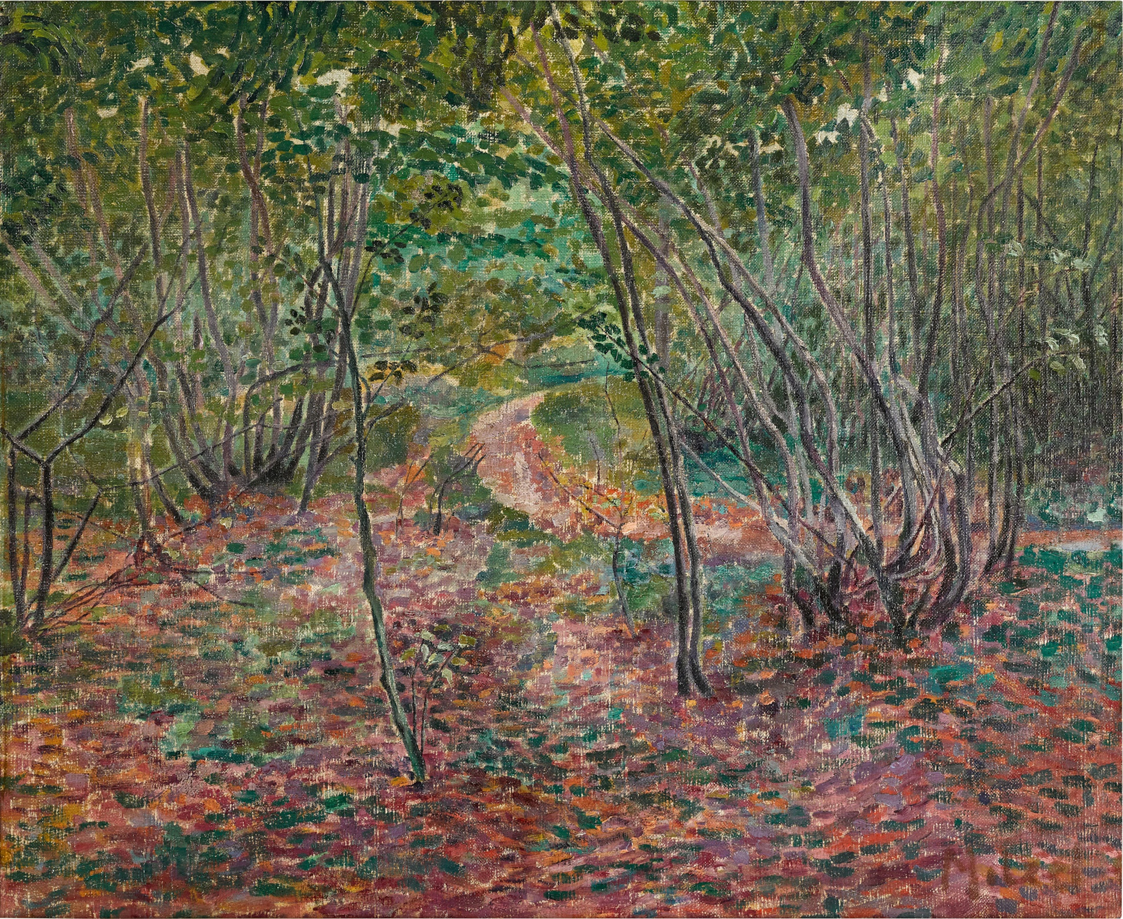 Forest Interior