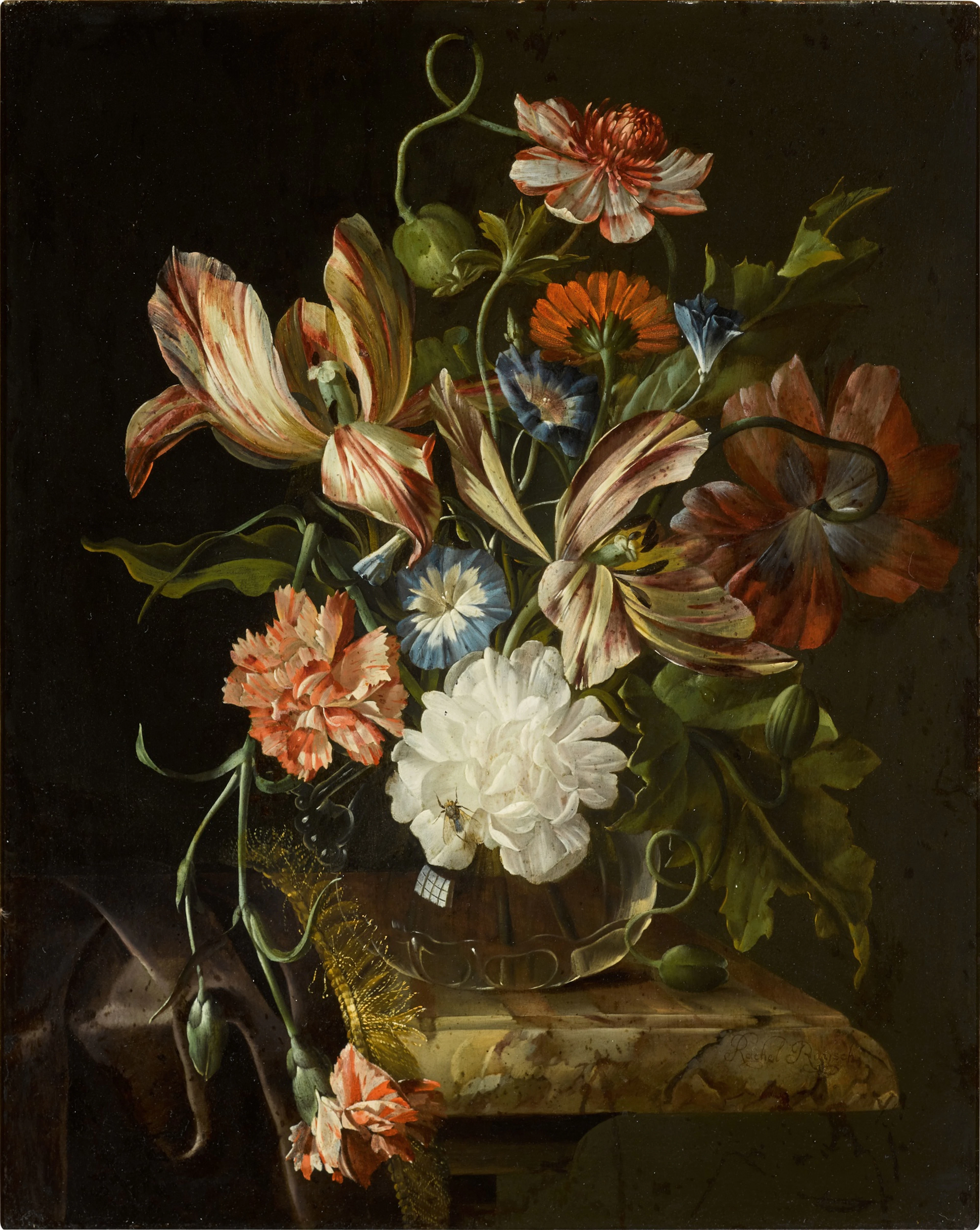 Still life of flowers