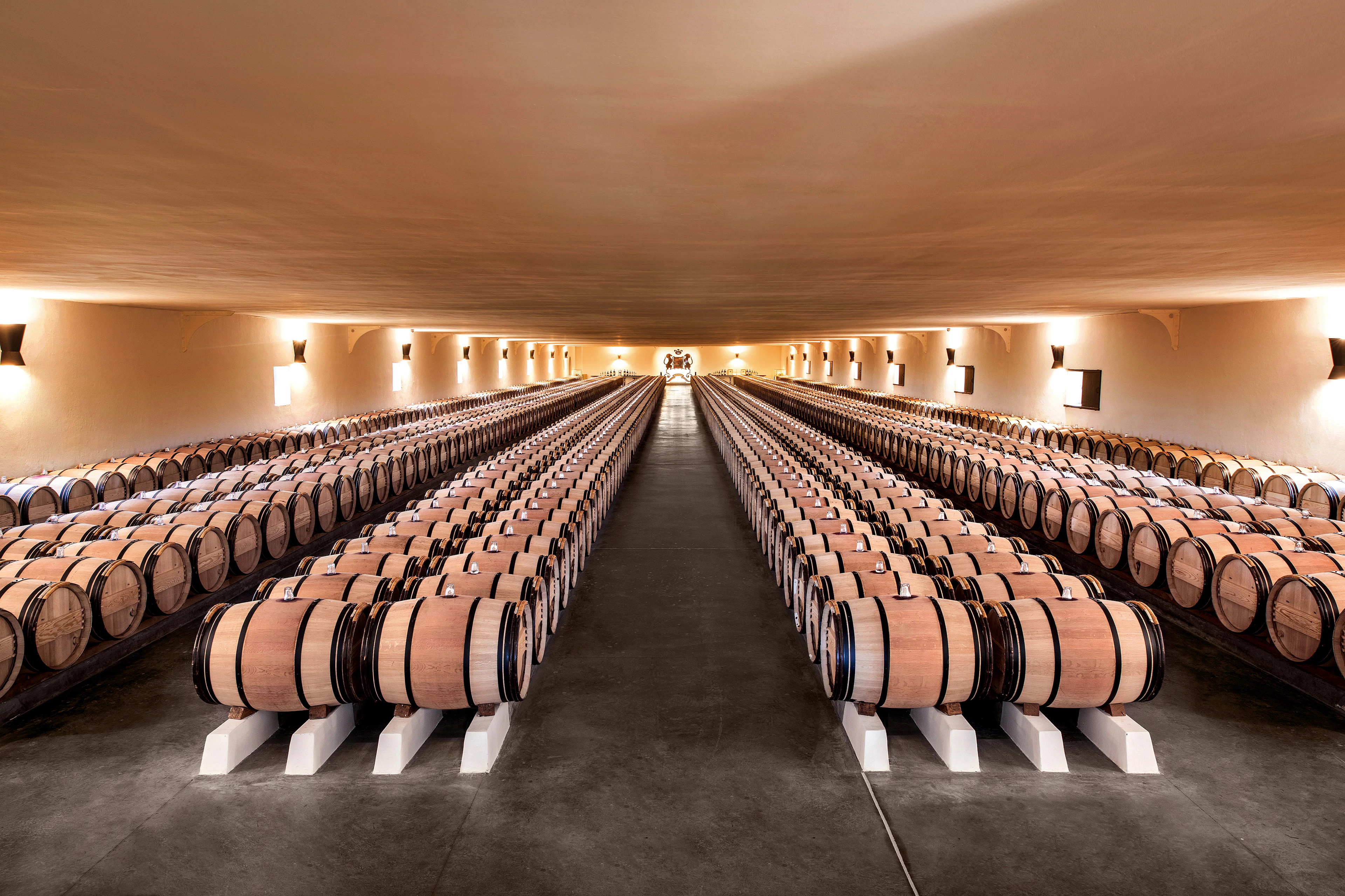 Château Mouton Rothschild 2012 (6 BT)