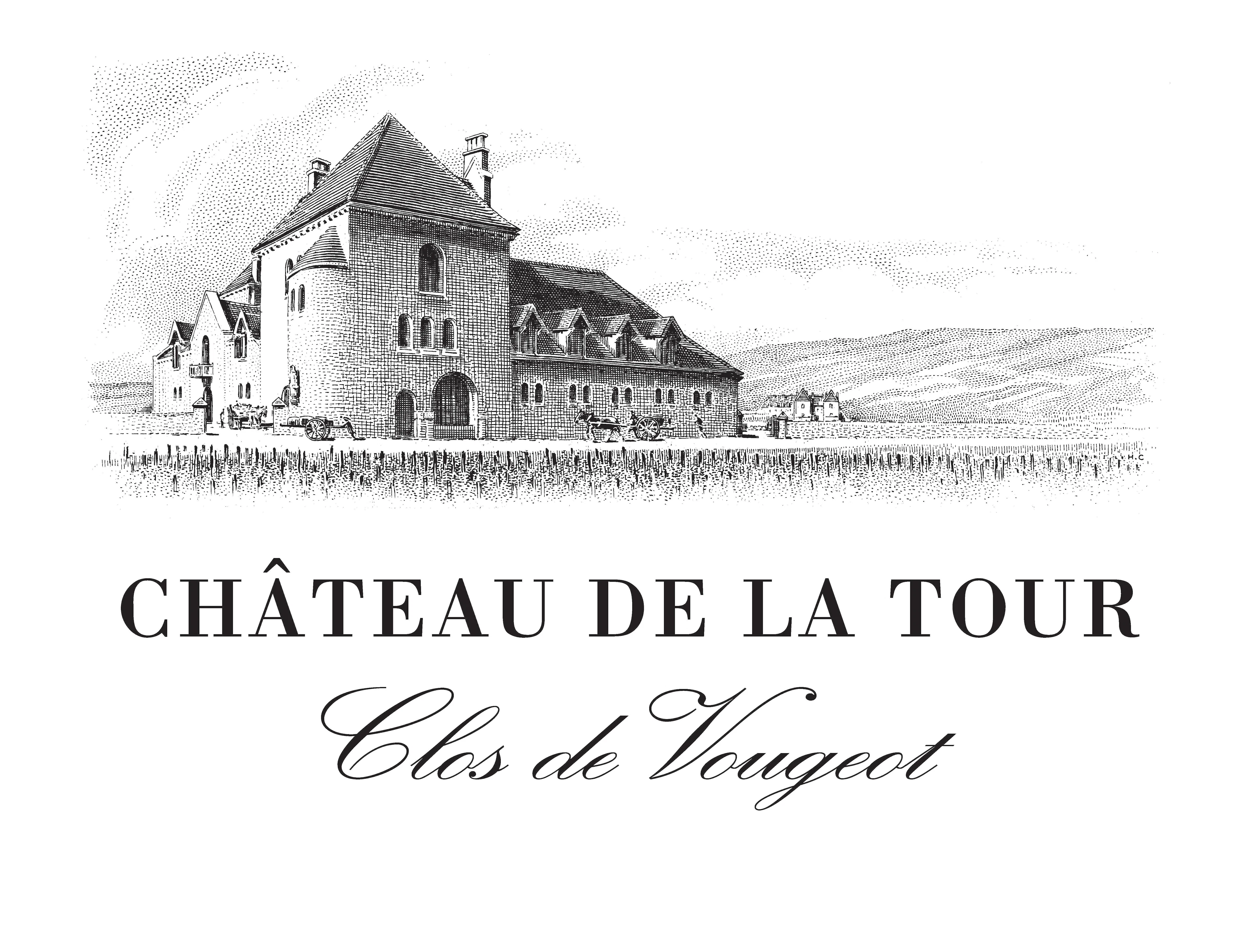 Clos de Vougeot 2009 Château de La Tour (1 MAG)