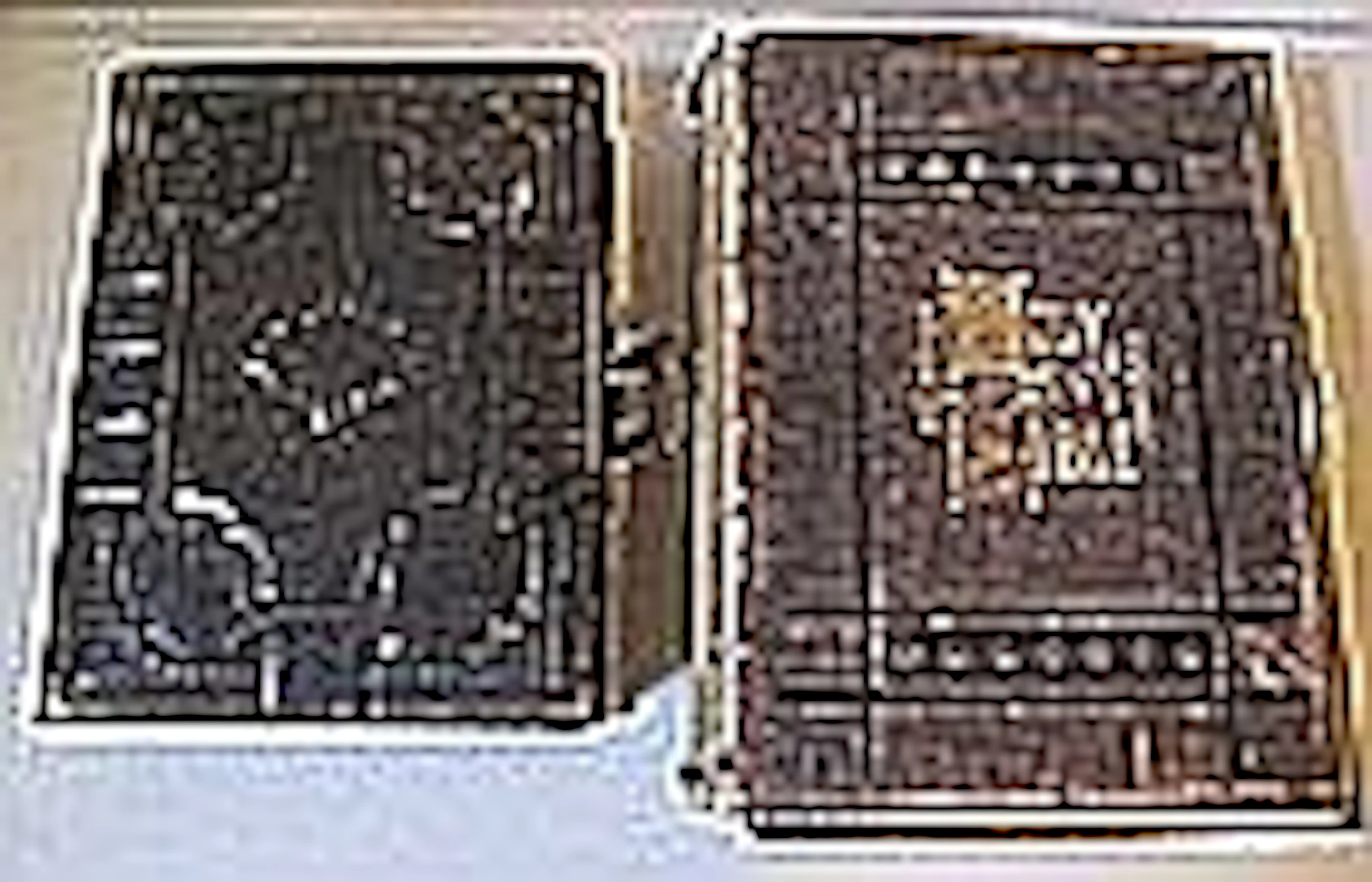 Large antique Holy Bible with 19thC photo album (b
