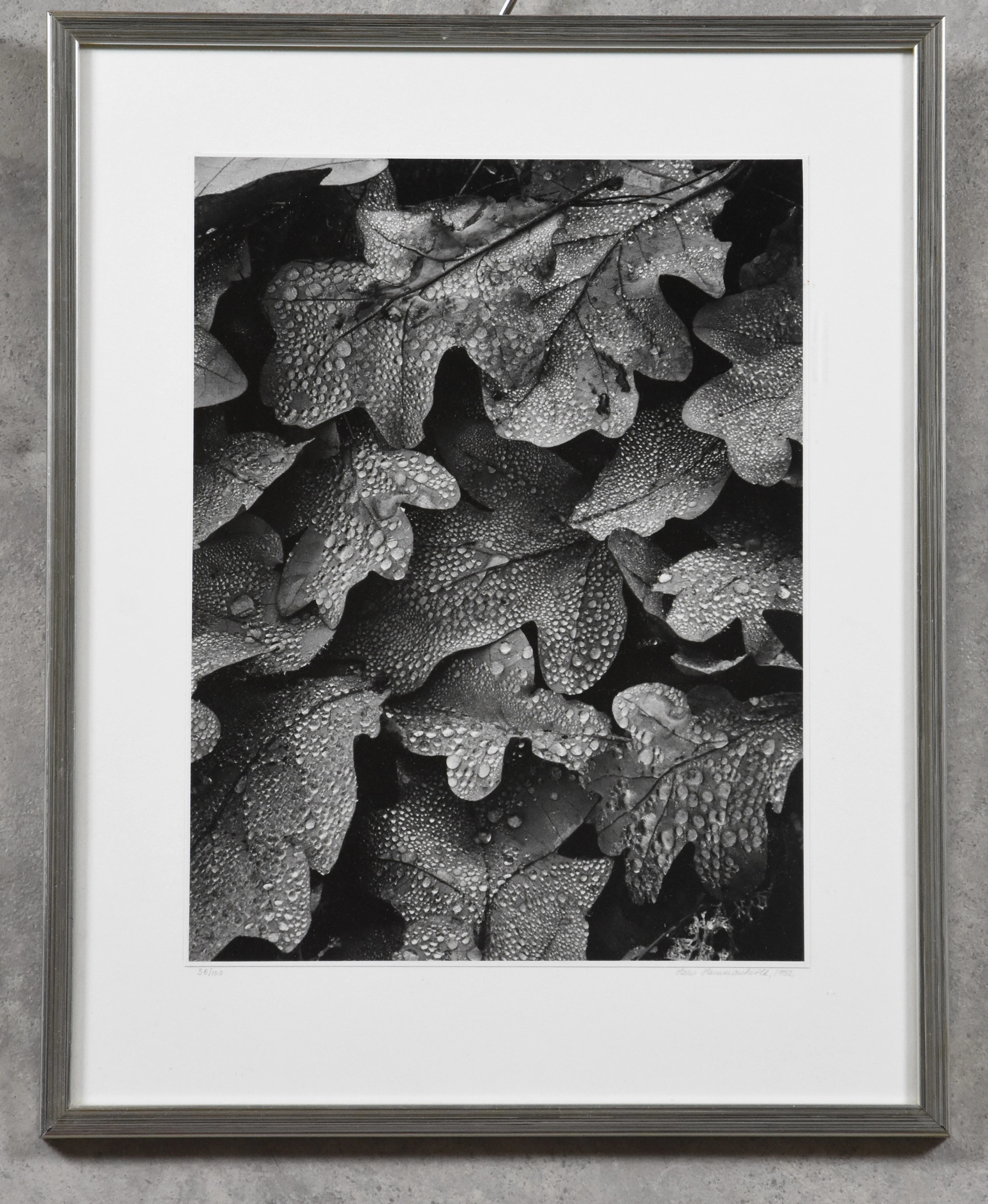 HANS HAMMARSKIÖLD. 1925-2012, silvergelatinfotografi, signerad, numrerad 36/100, daterad 1952.