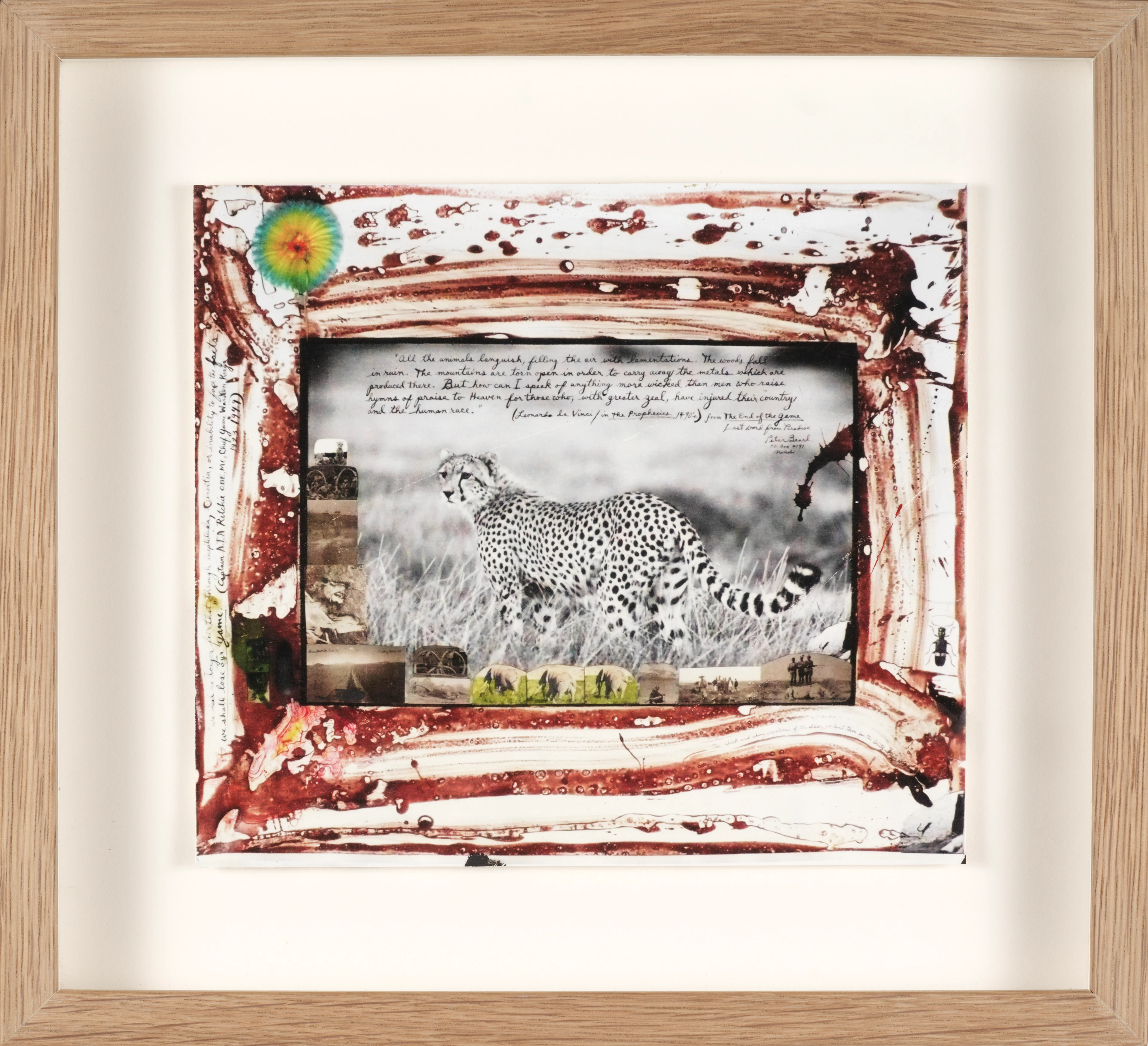 Peter BEARD
