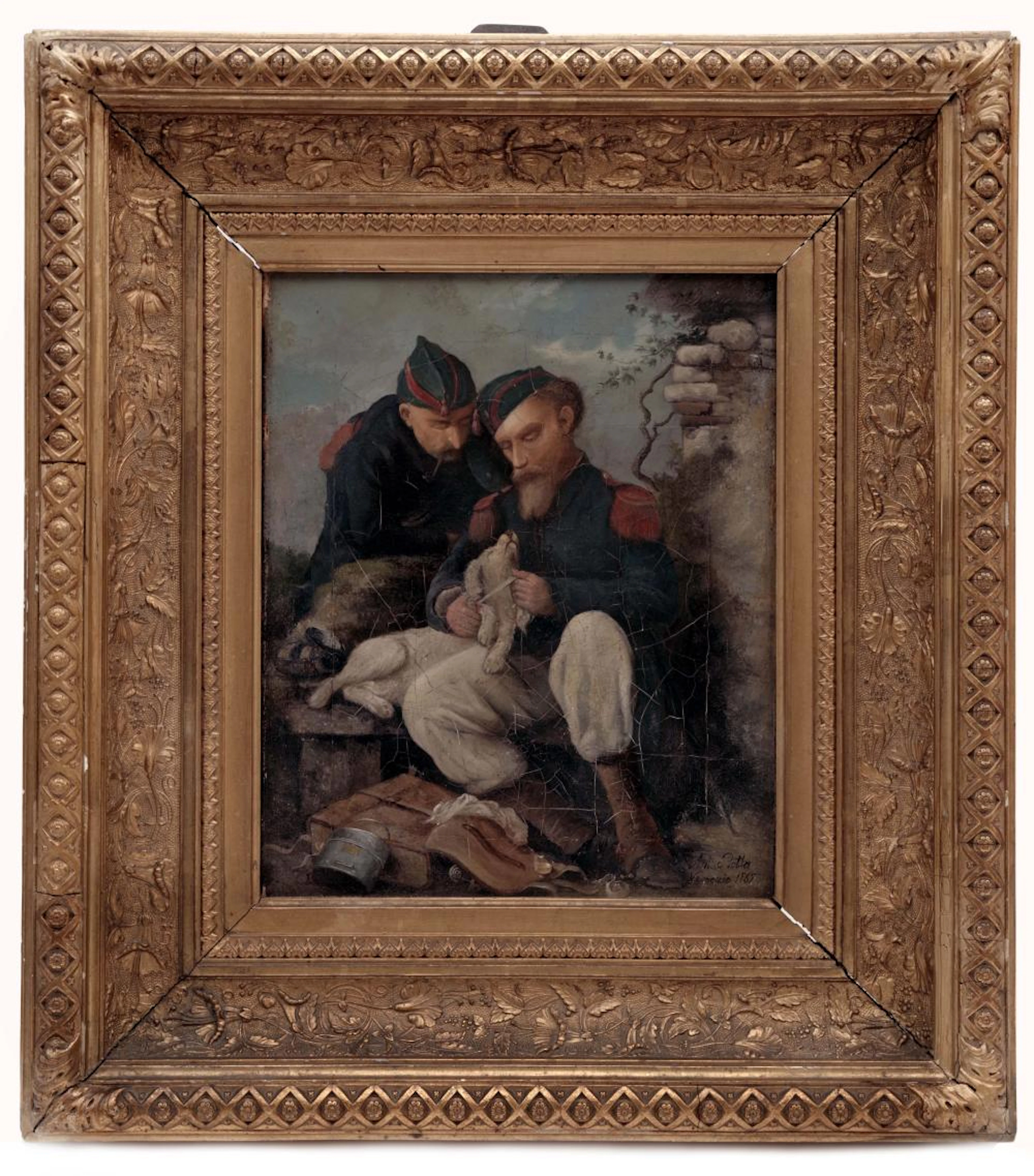 A Canine Casualty Finds a Home by Antonio Rotta