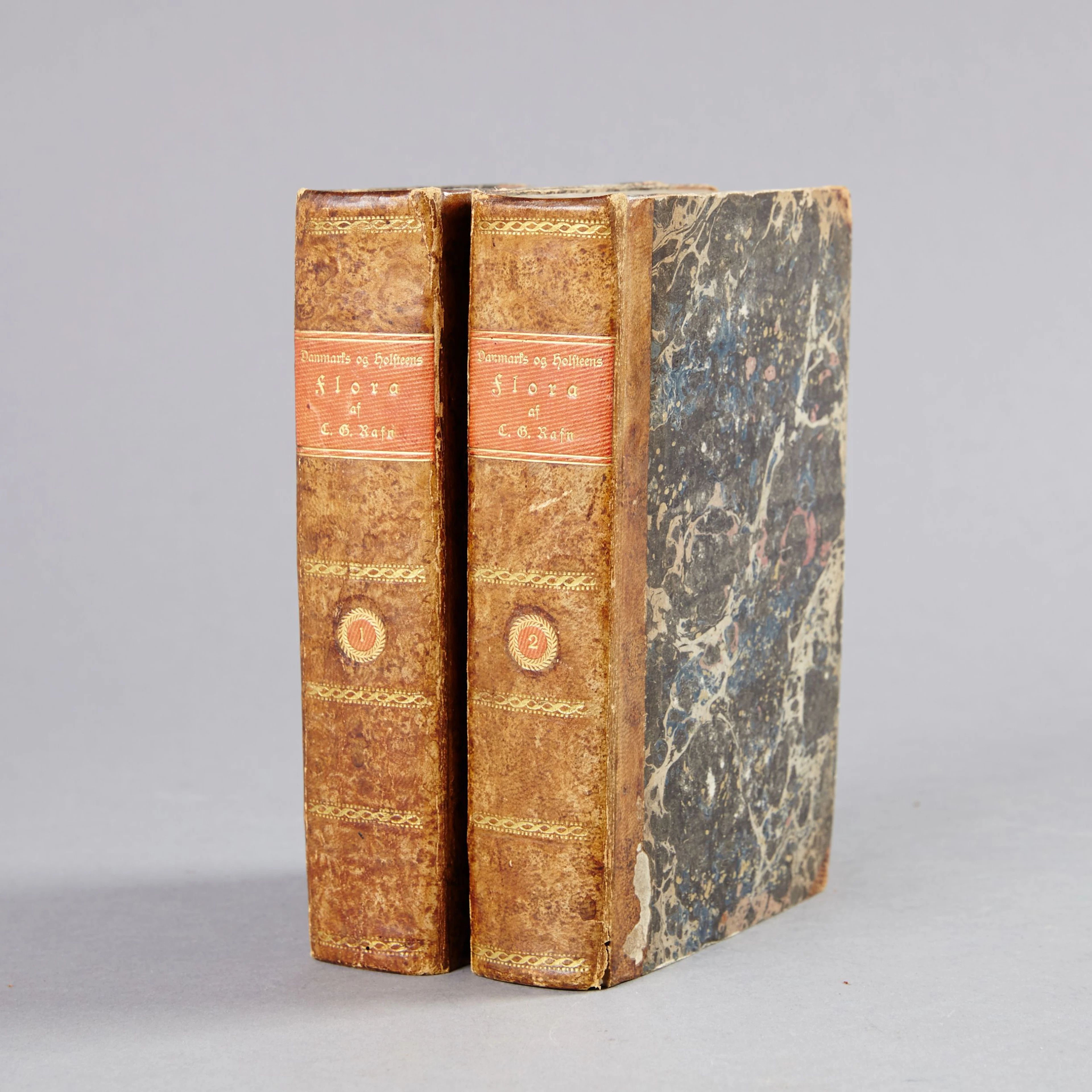 Rafns Danmarks og Holsteens flora 1796-1800