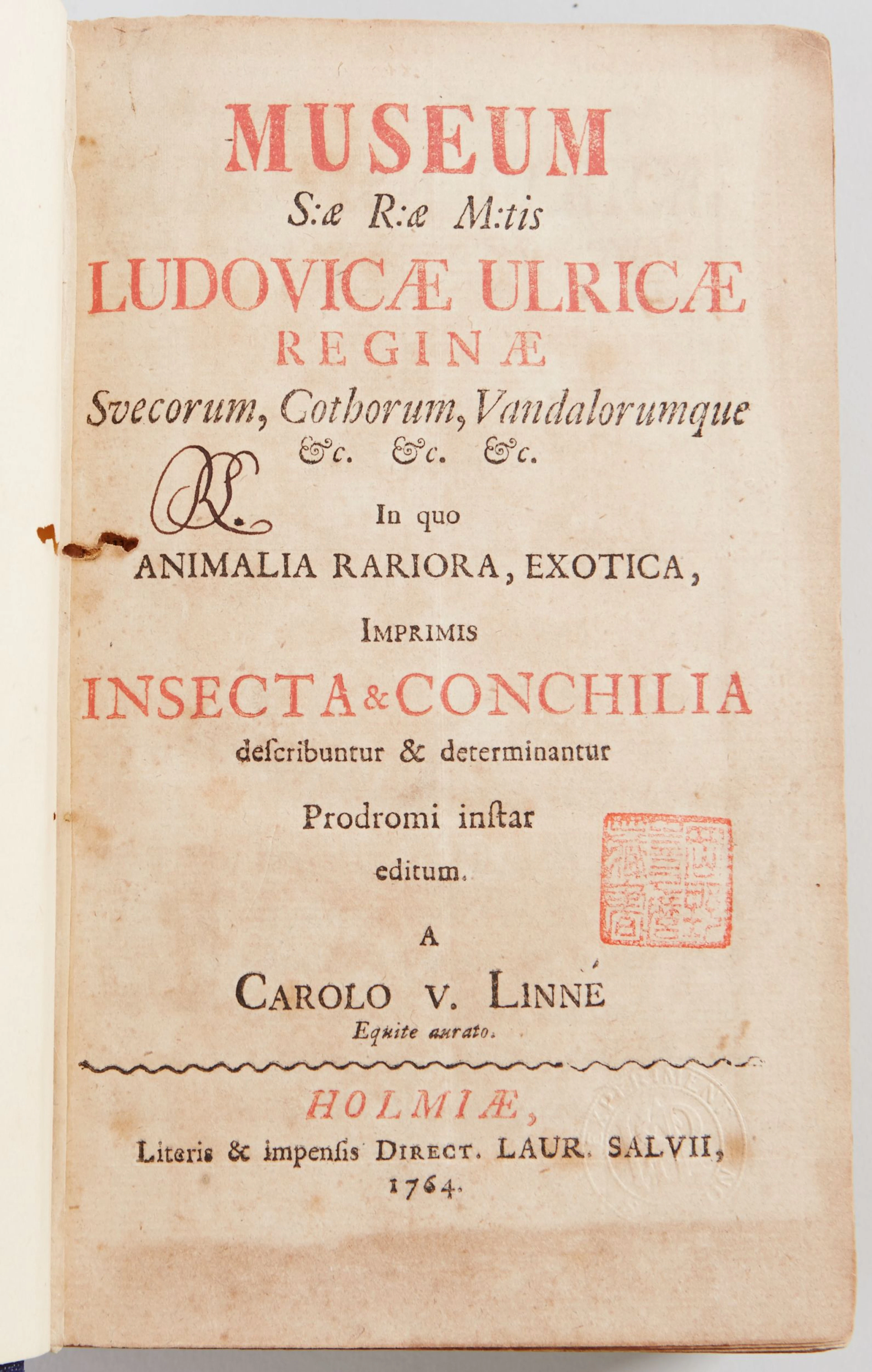 Linnaeus 1764.