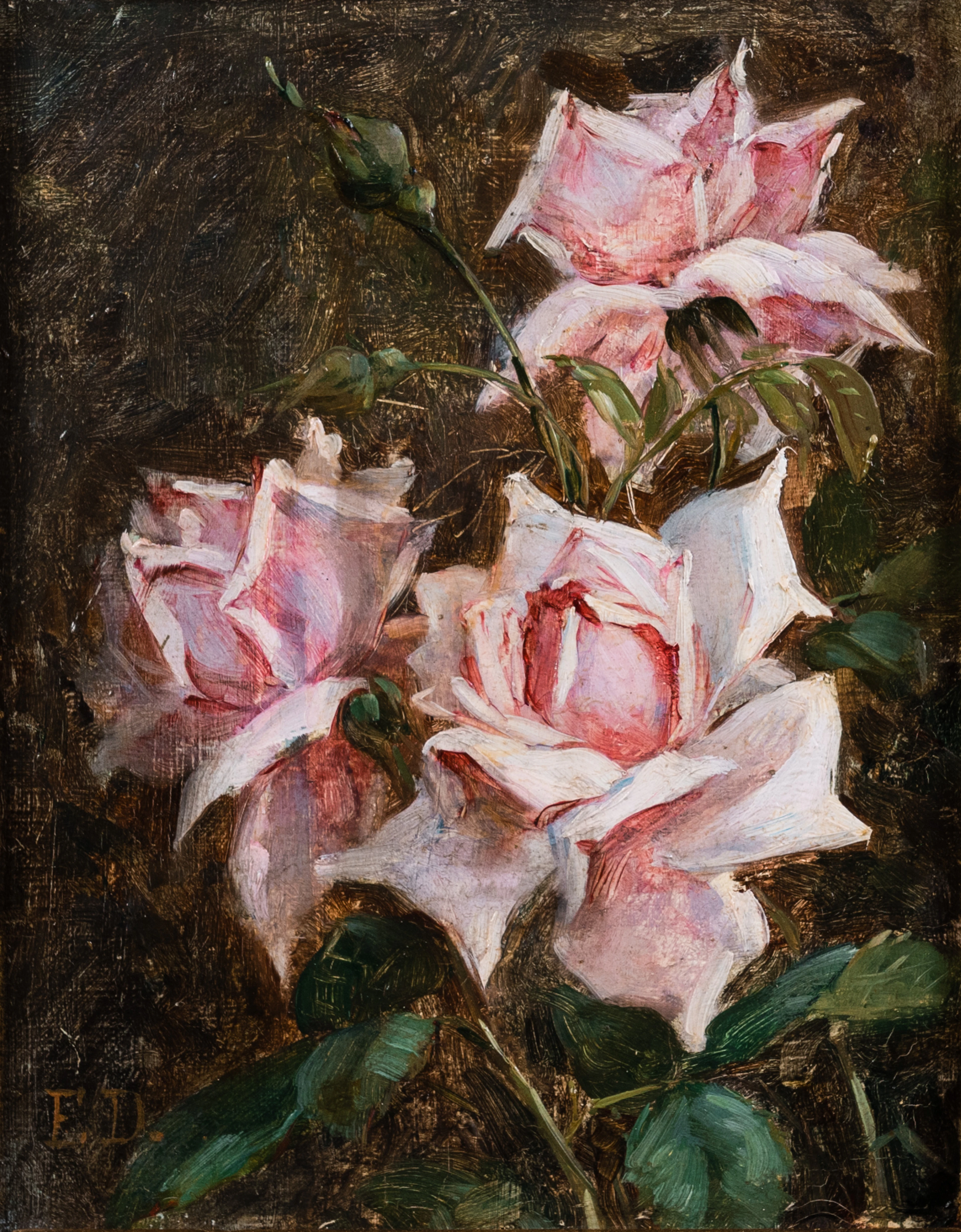 Elin Danielson-Gambogi