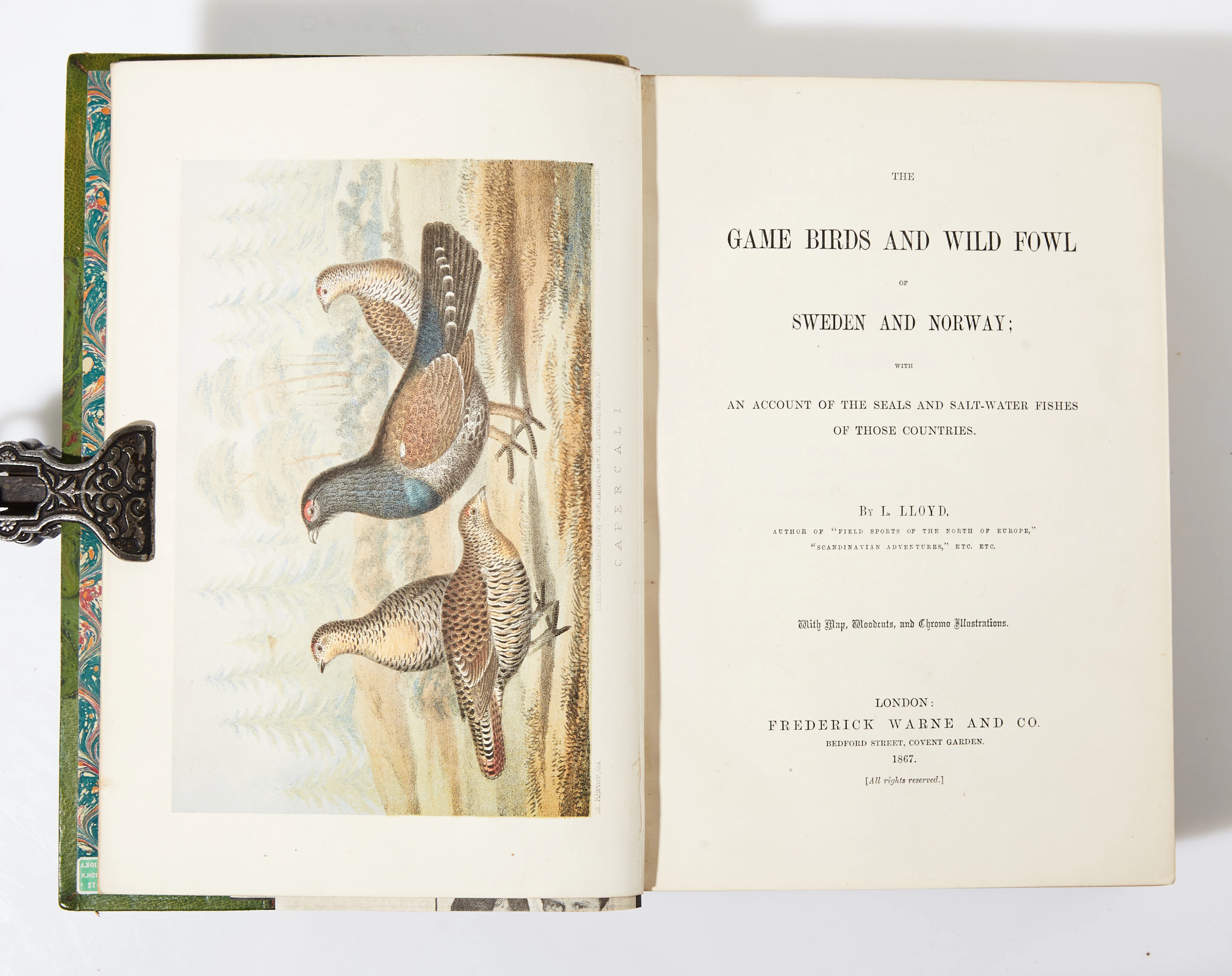 Lloyd on Scandinavian bird hunting 1867