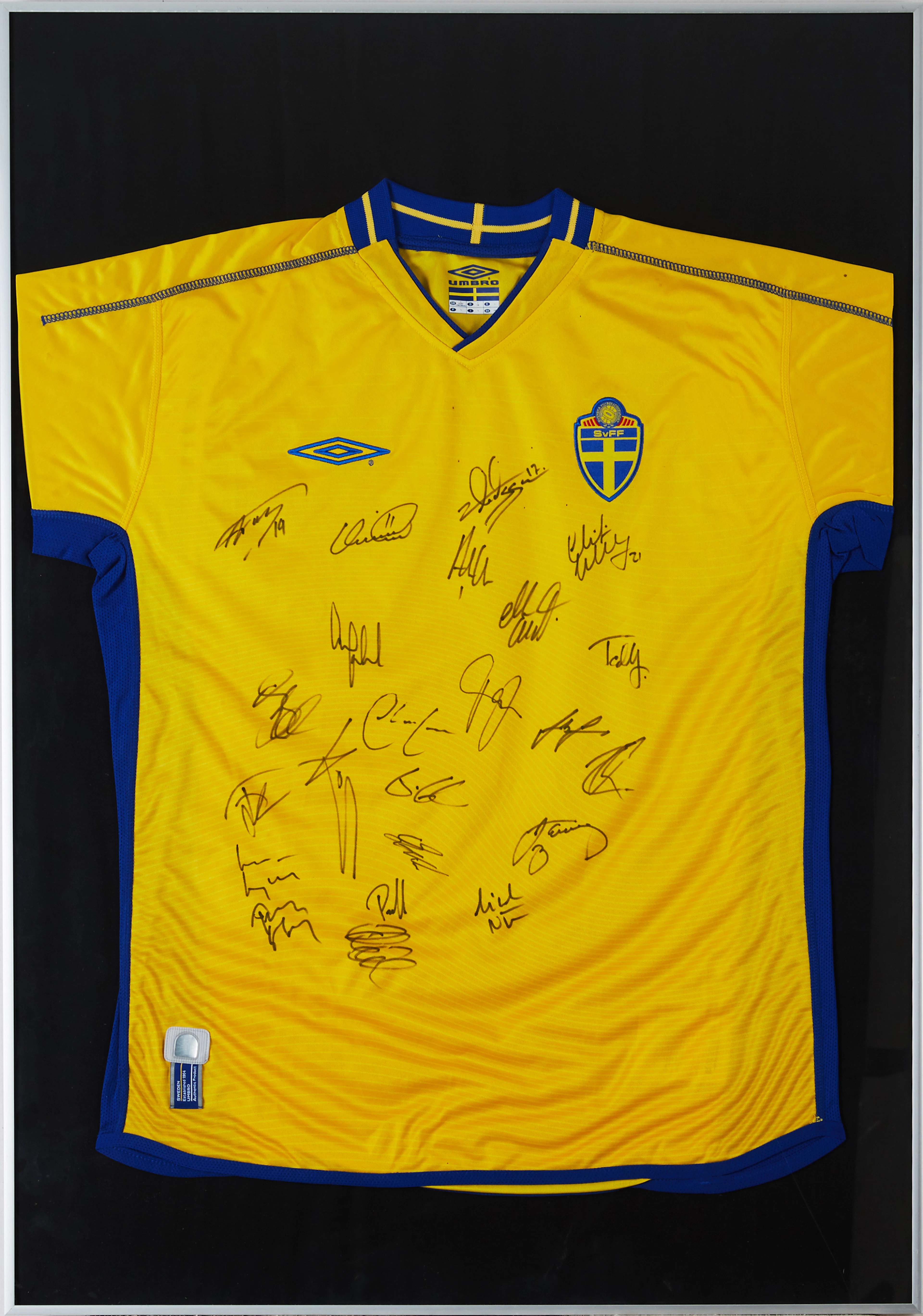 Svenska landslaget fotboll 2003 Sport