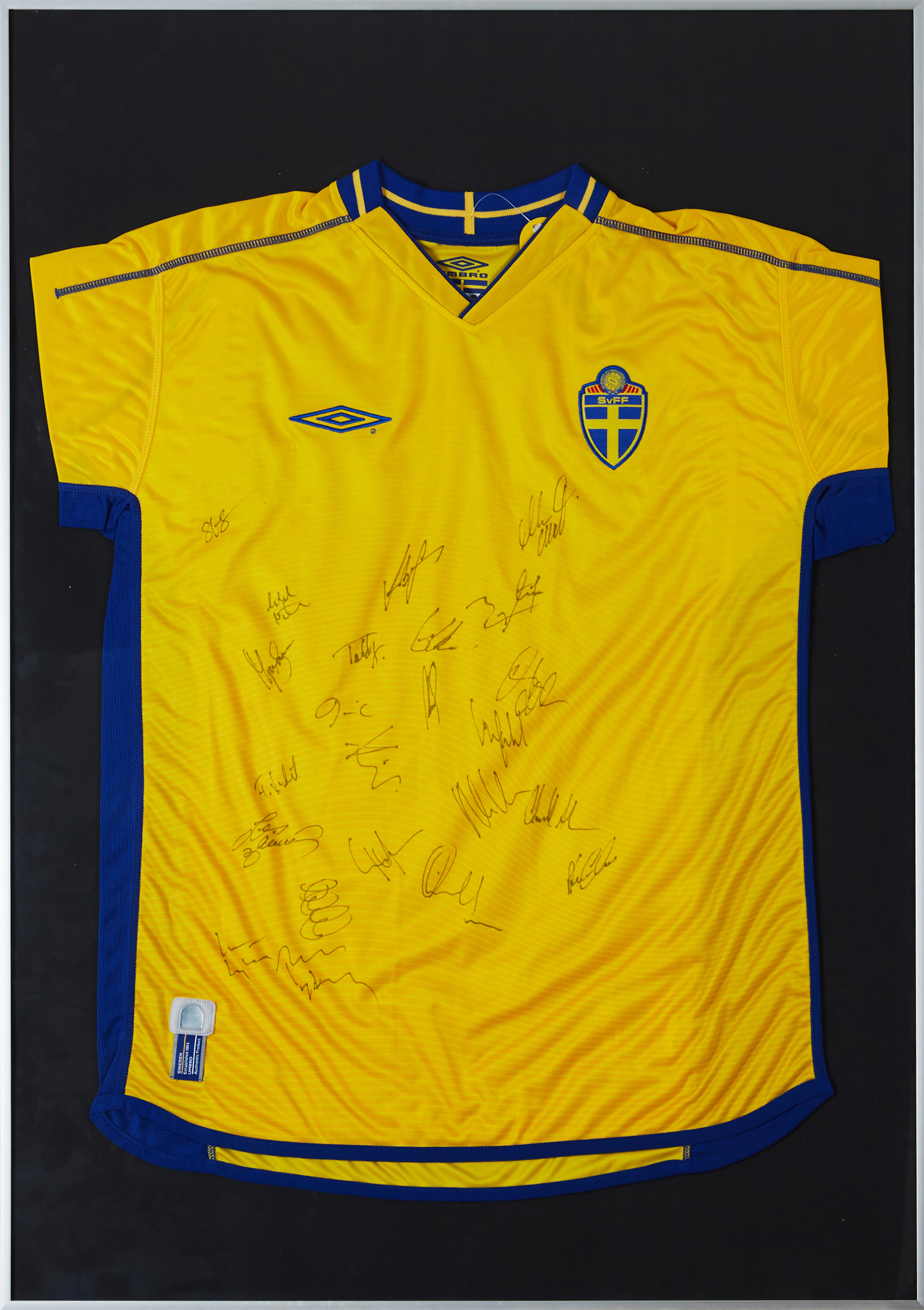 Svenska landslaget fotboll 2003 Sport