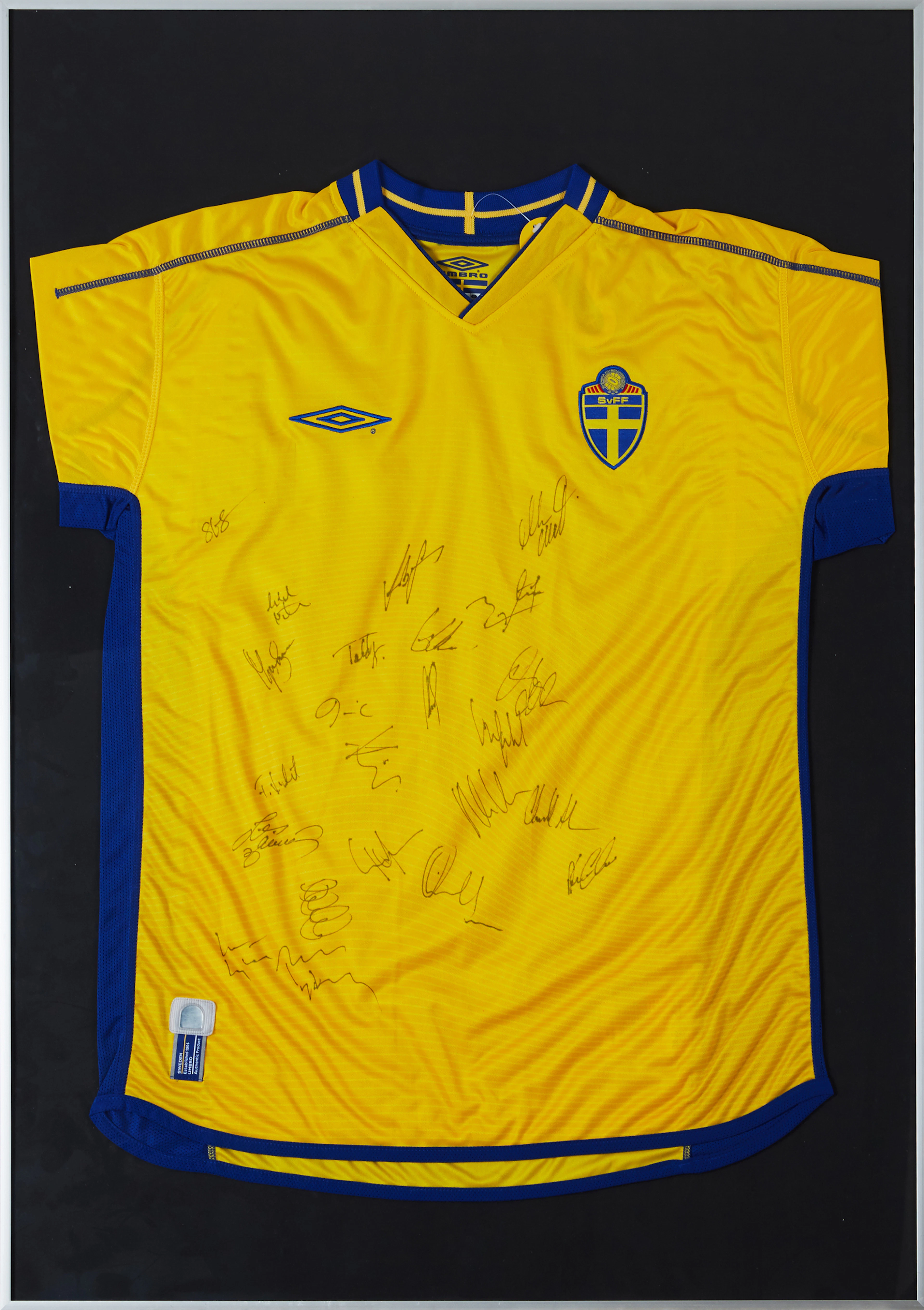 Svenska landslaget fotboll 2003 Sport