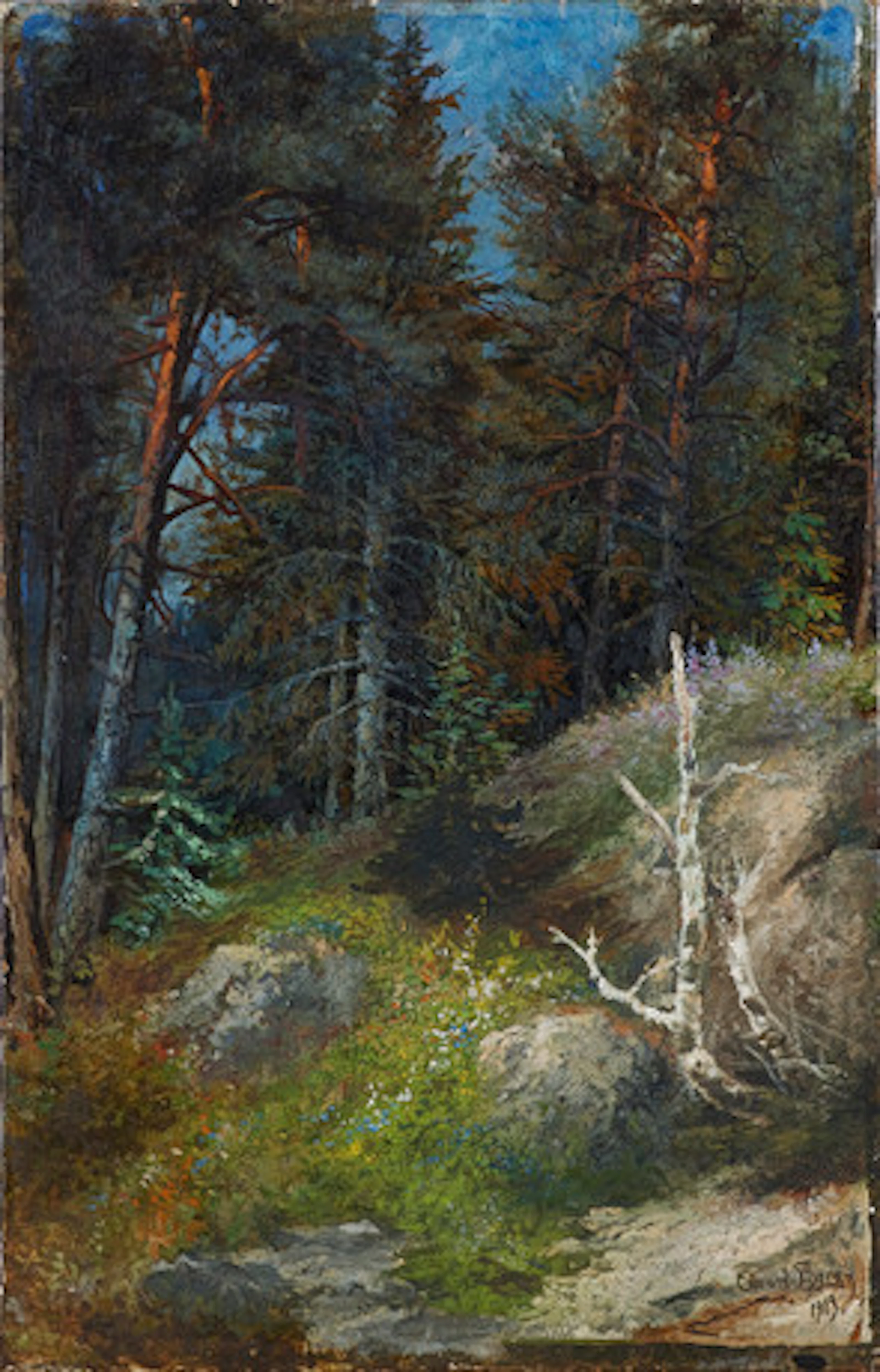EDVARD AUGUST BERGH (1853-1915). Skogspart…