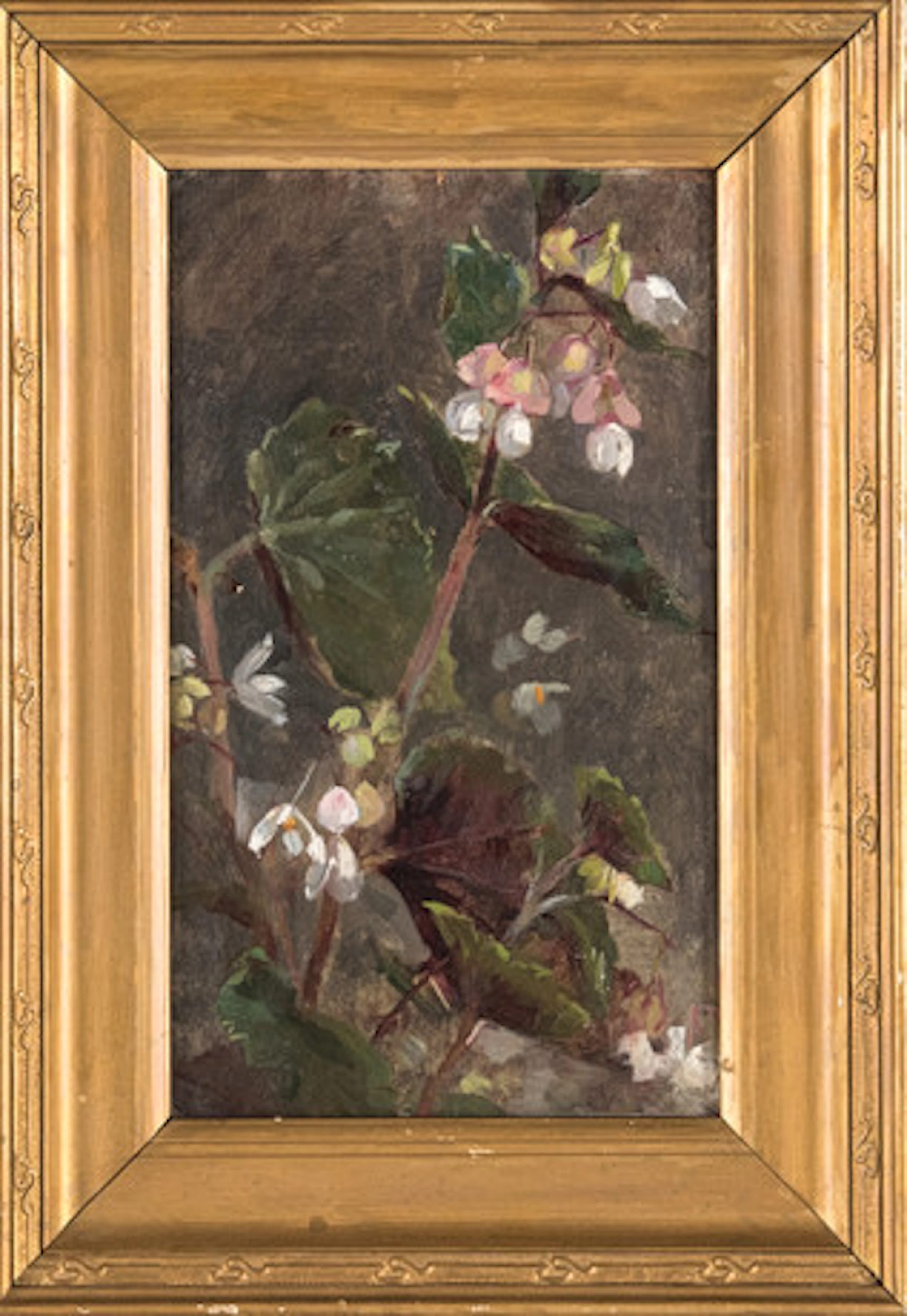 ELIN DANIELSON-GAMBOGI (1861-1919). Begoni…