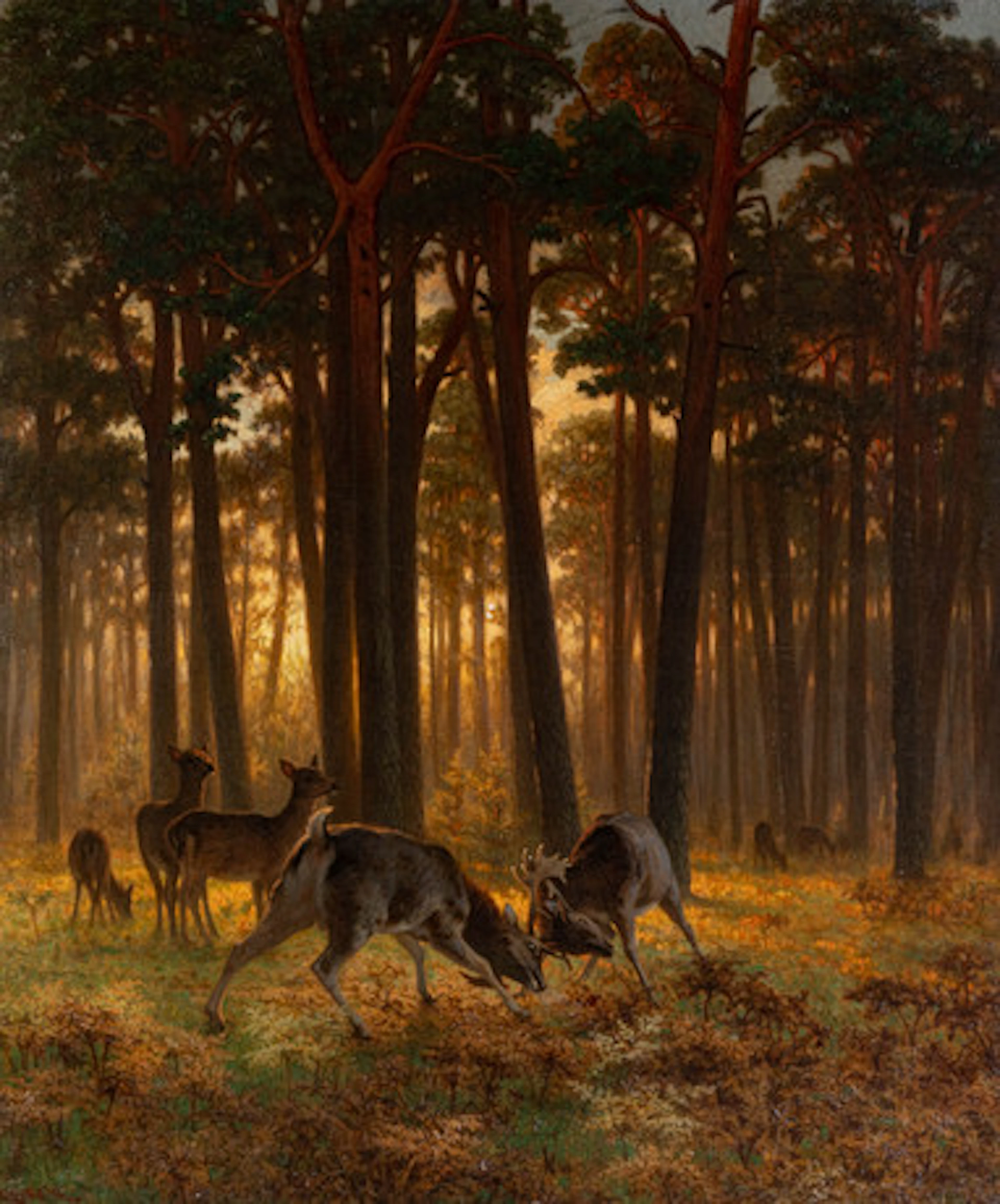EDUARD OCKEL (1834-1910). Röda rådjur i en…
