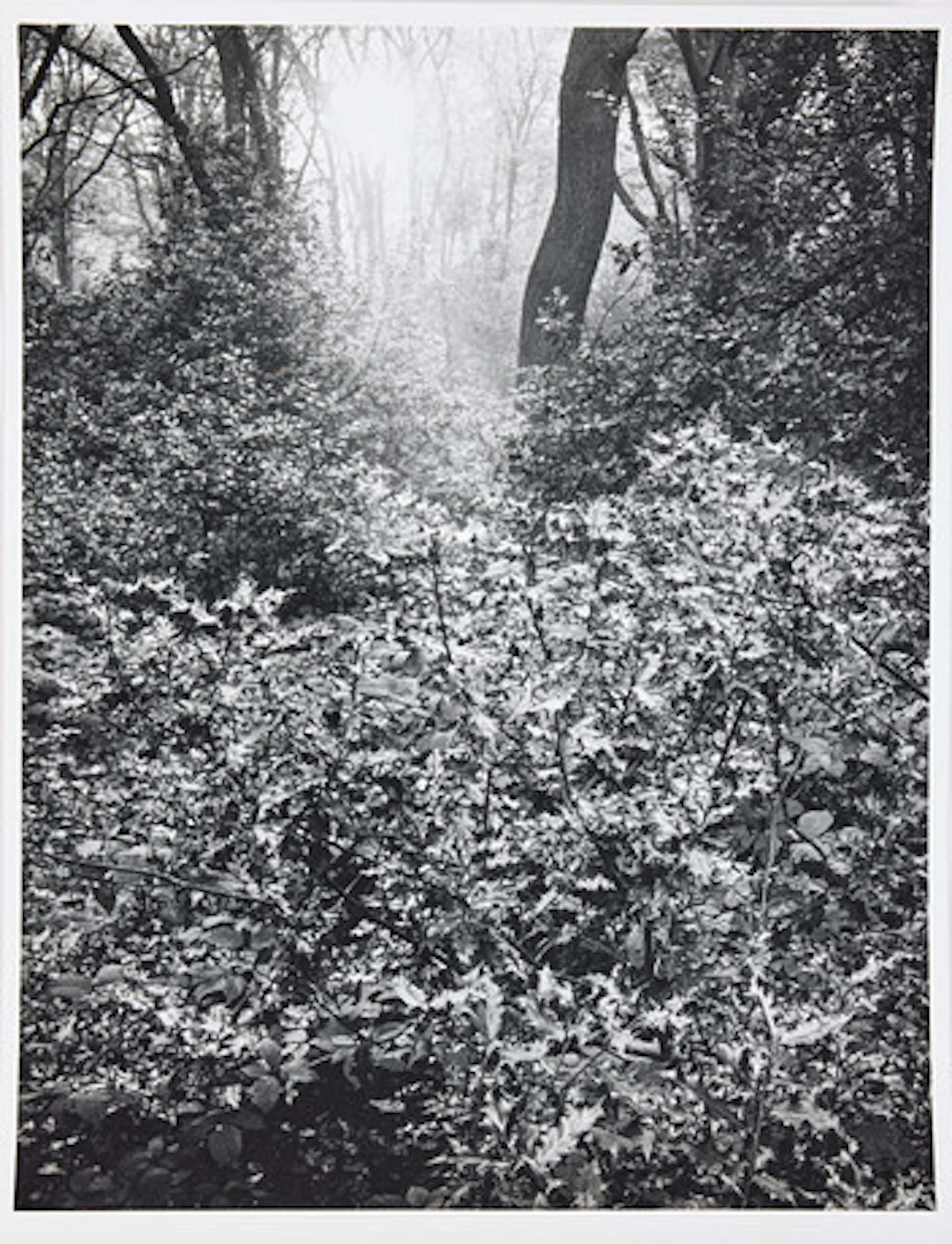 HANS HAMMARSKIÖLD (1925-2012). Epping fore…