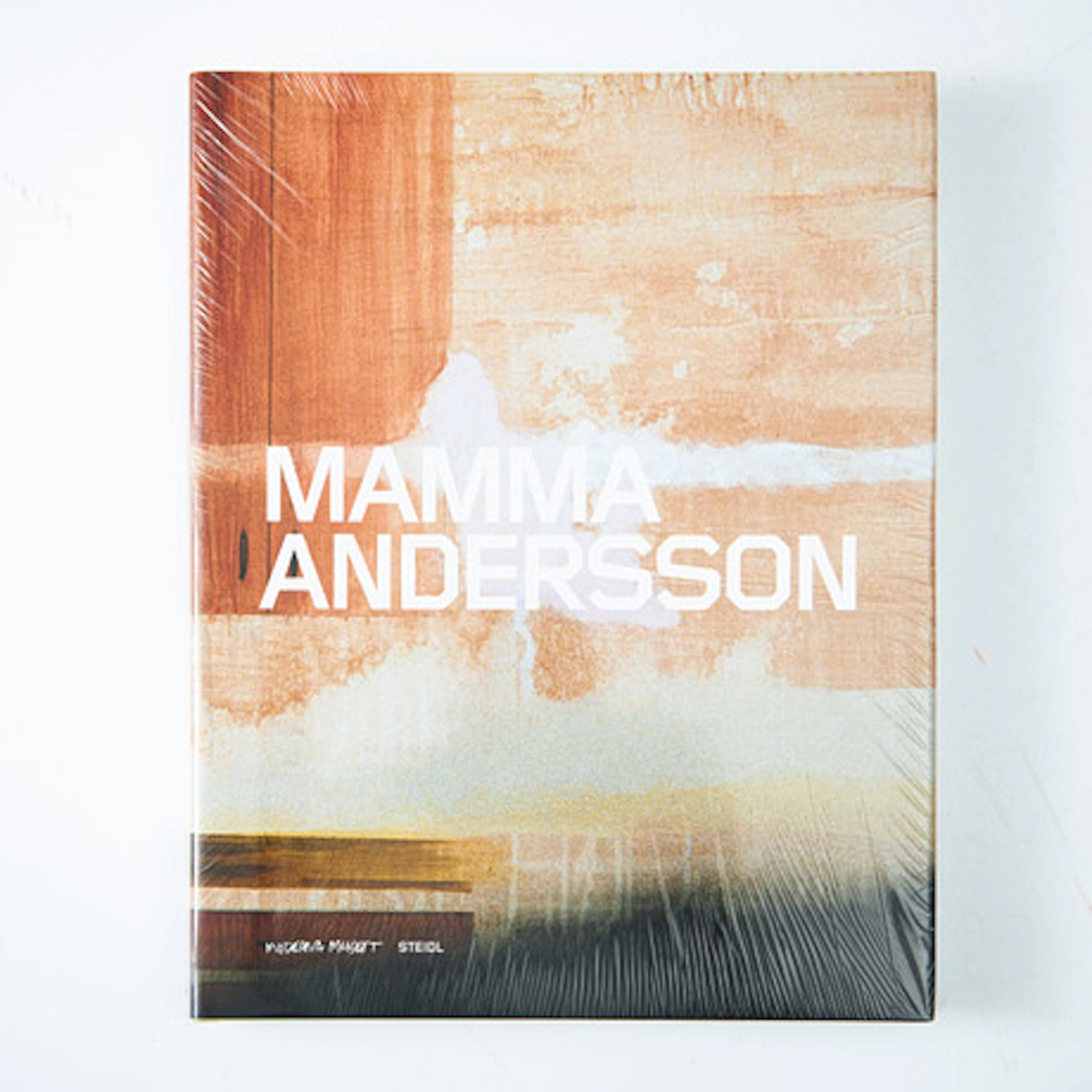 KARIN MAMMA ANDERSSON. bok, Steidl, 2007, …