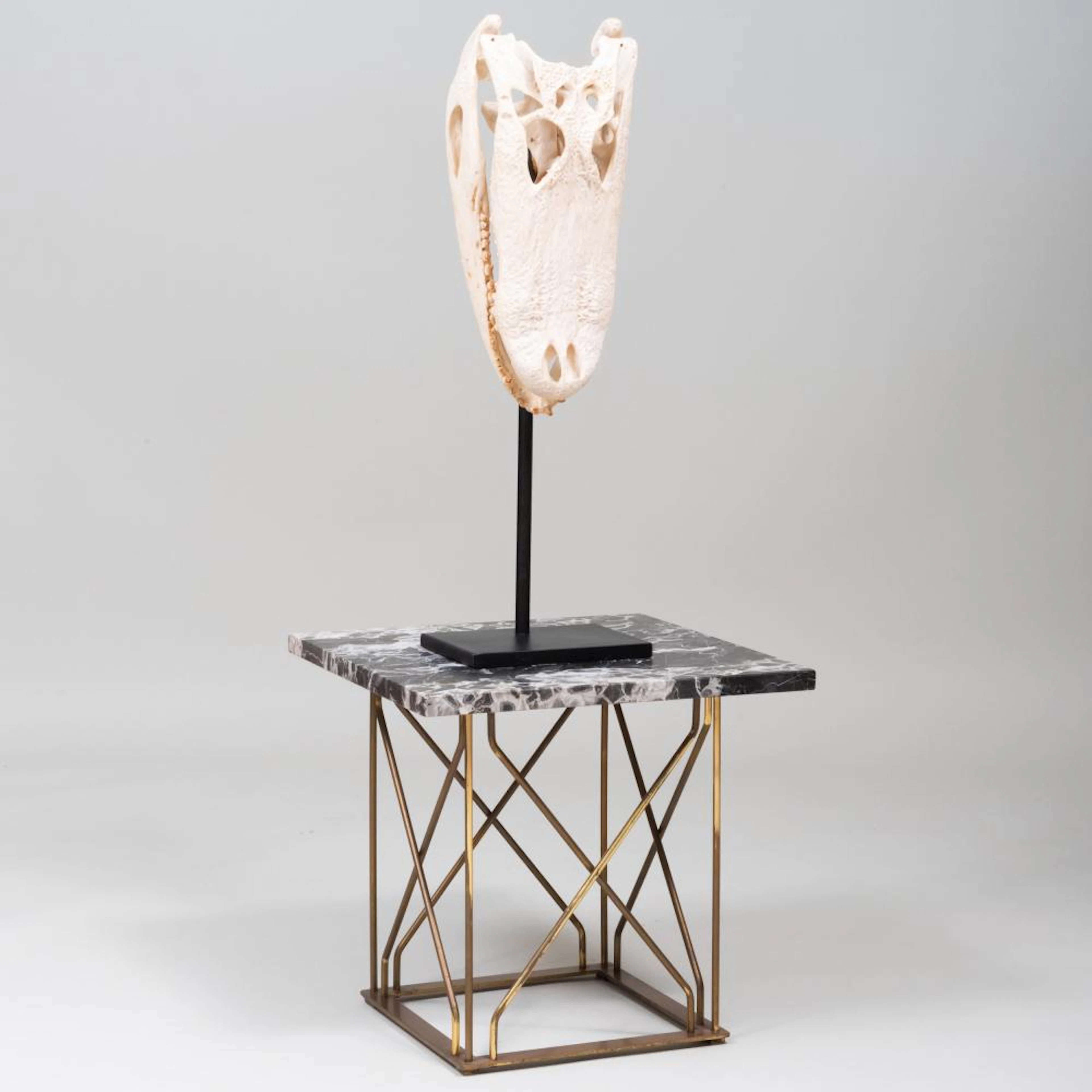 Crocodile Skull Trophy and Marble Gilt-Metal Marble Top Table