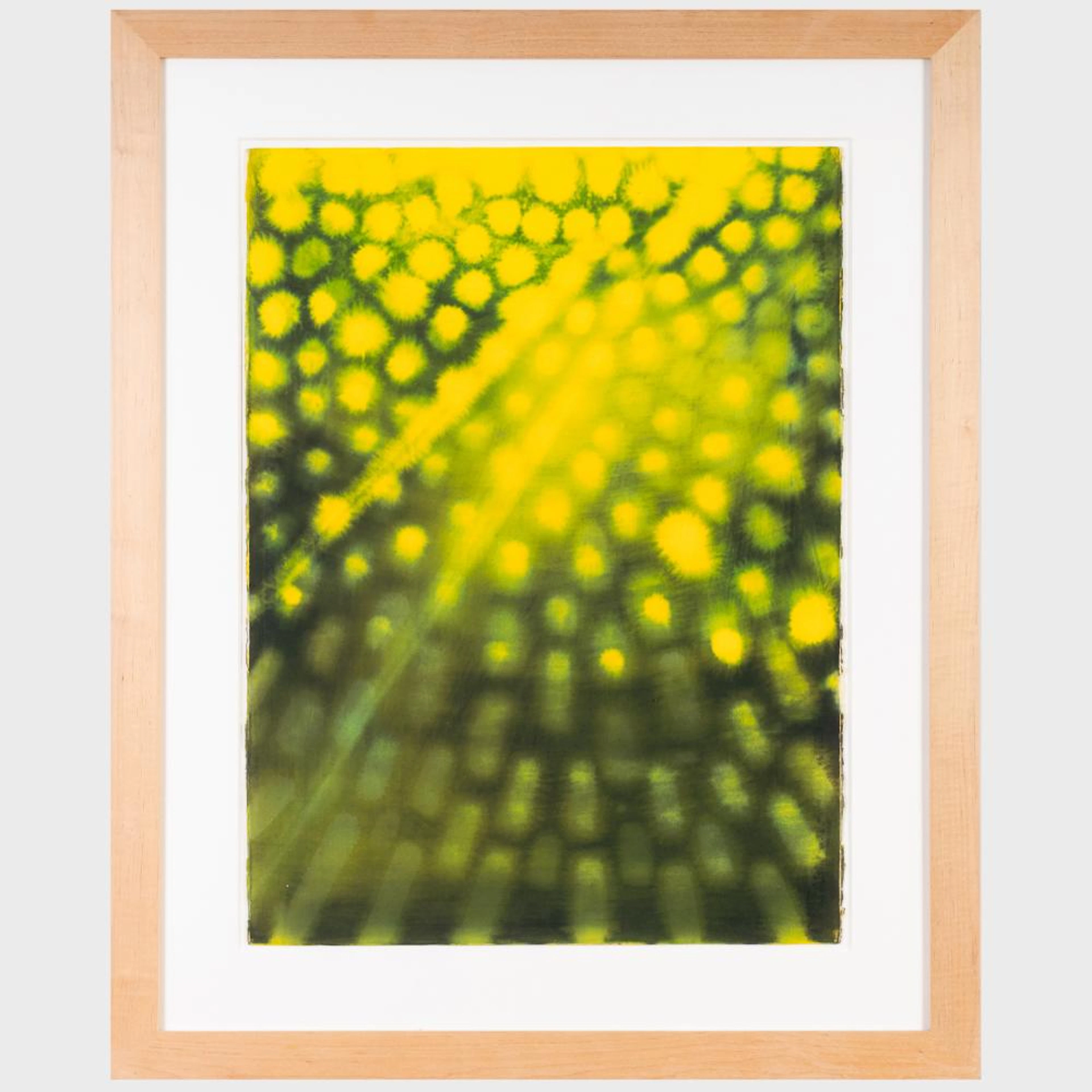 Ross Bleckner (b. 1949): Untitled