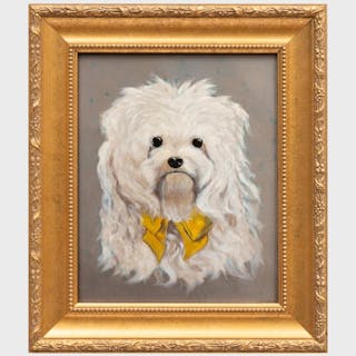 20th Century School: Portrait of a Dog with a Yellow Ribbo
