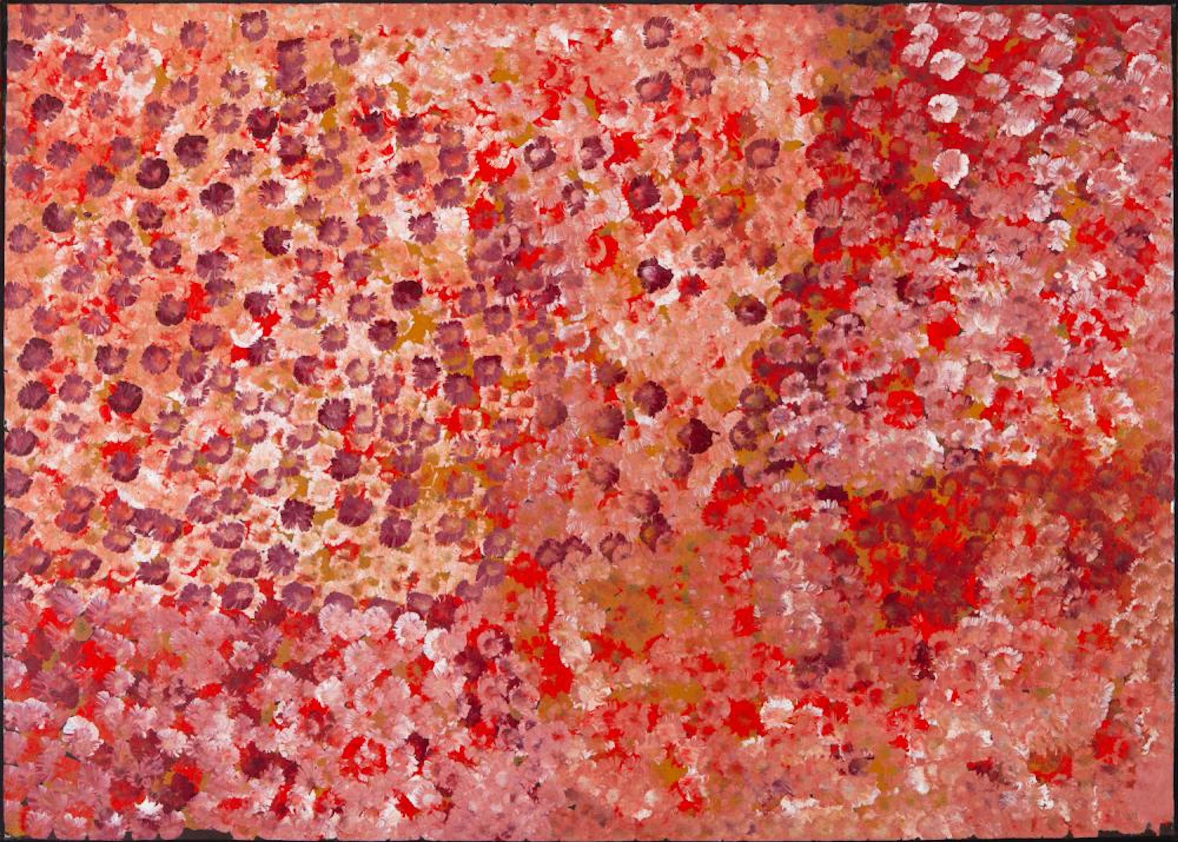EMILY KAME KNGWARREYE - MY COUNTRY - ACRYLIC ON CANVAS