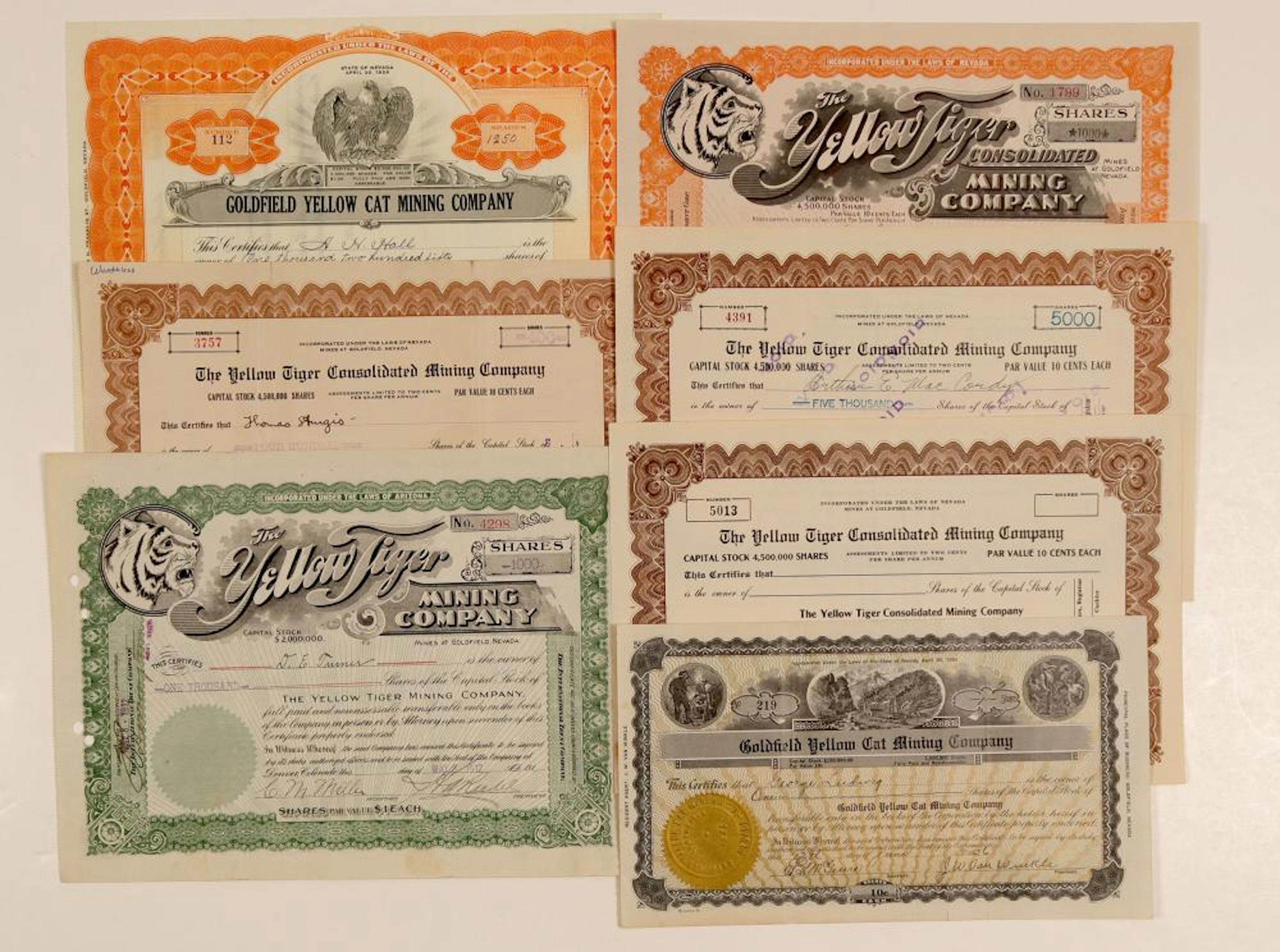 Goldfield "Yellow Tiger" and "Yellow Cat" Mining Stocks (102528)
