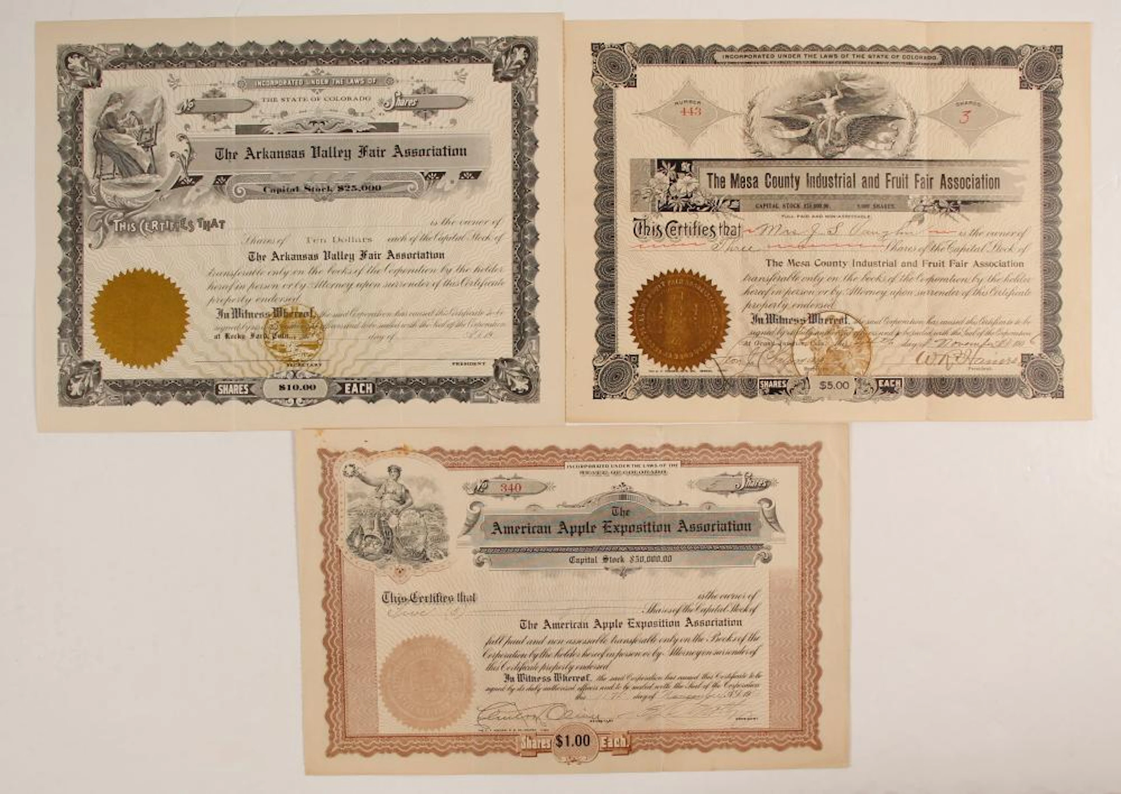 Colorado Fair Ephemera (82725)