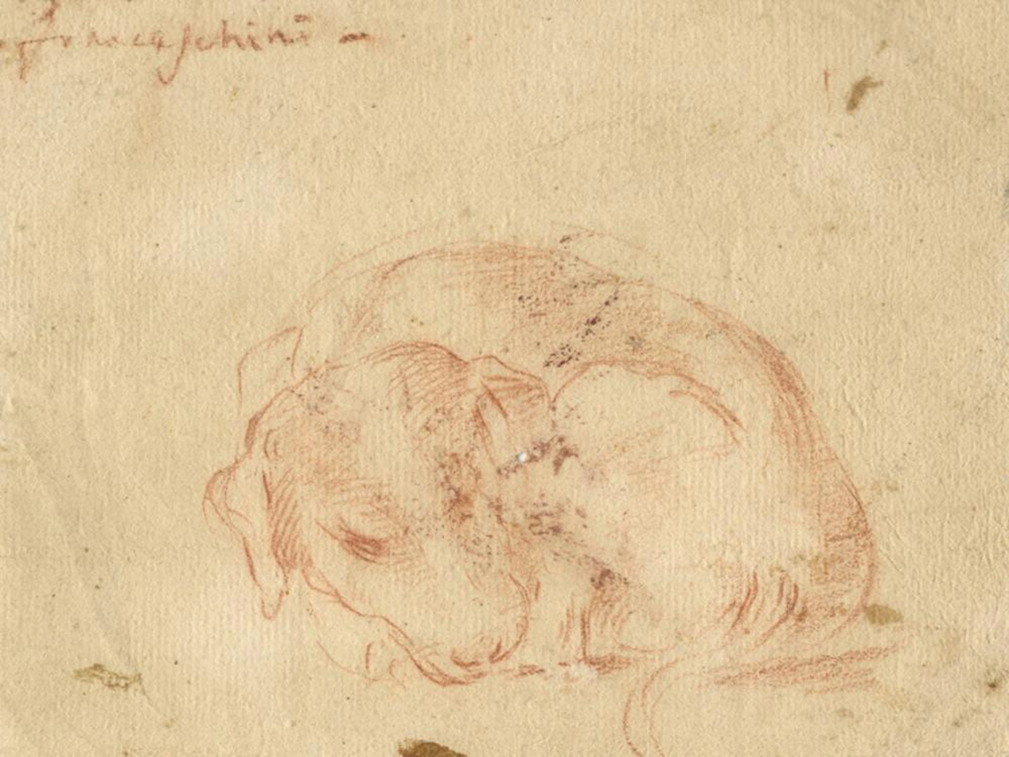 Autori vari, Lotto di otto disegni XVII-XIX secolo.