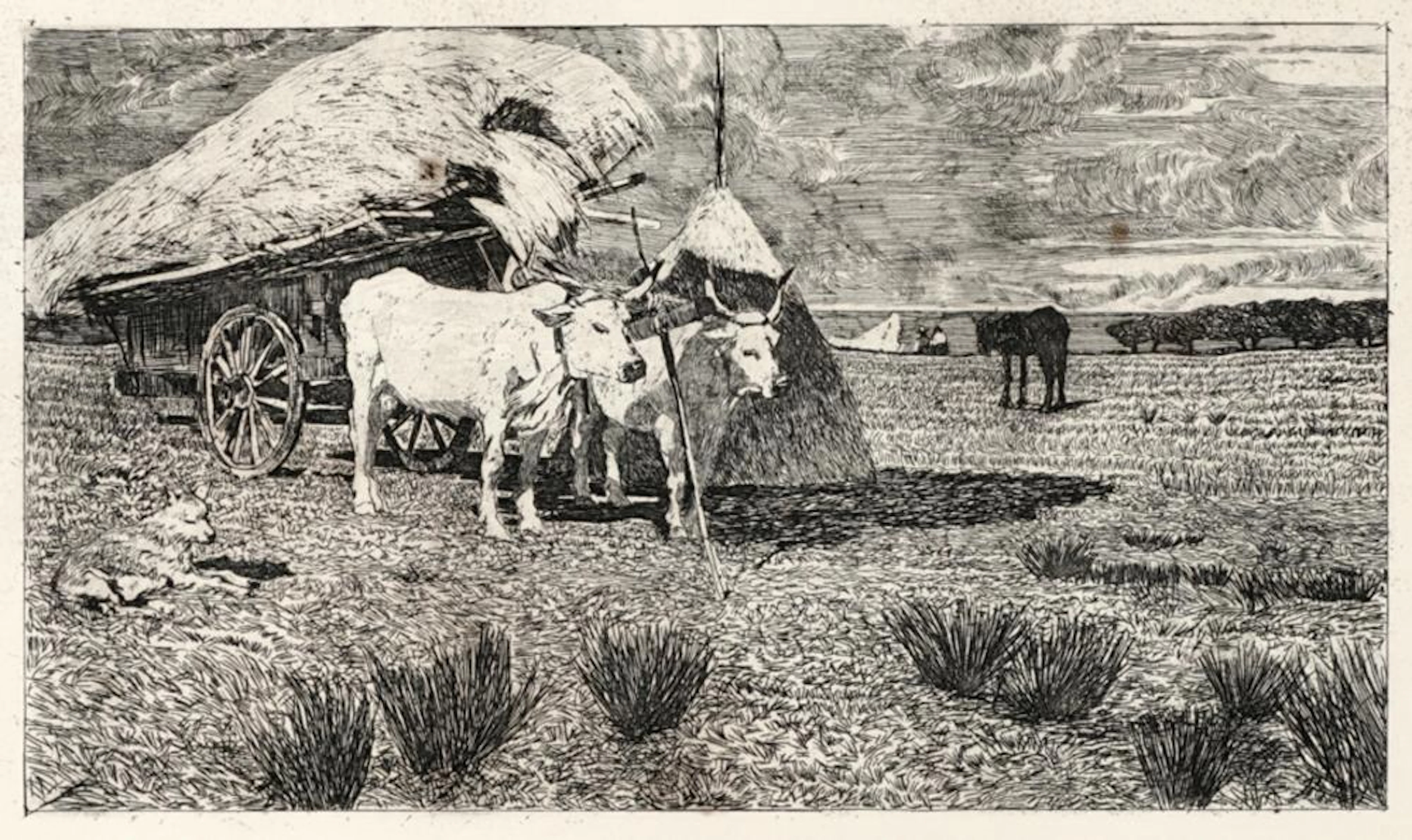 Giovanni Fattori, Bovi al carro (Maremma).