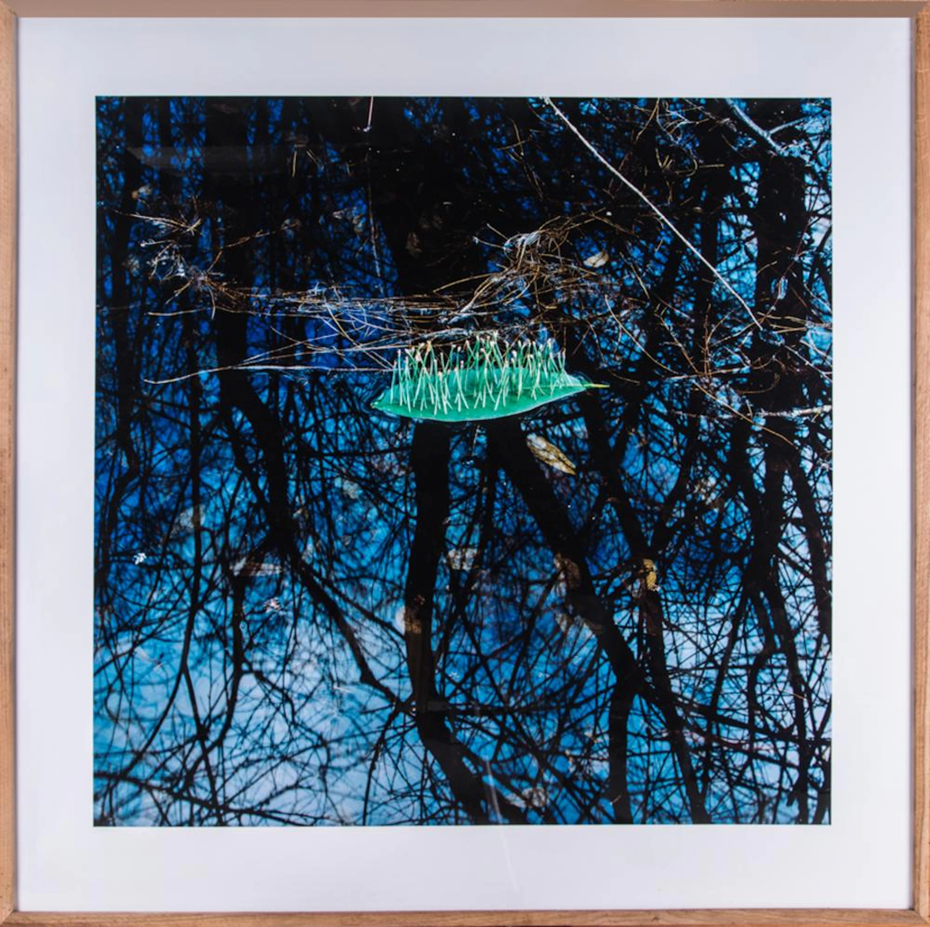 ils-Udo, Feuille de rhododendron aifuilles de pin. 1987.