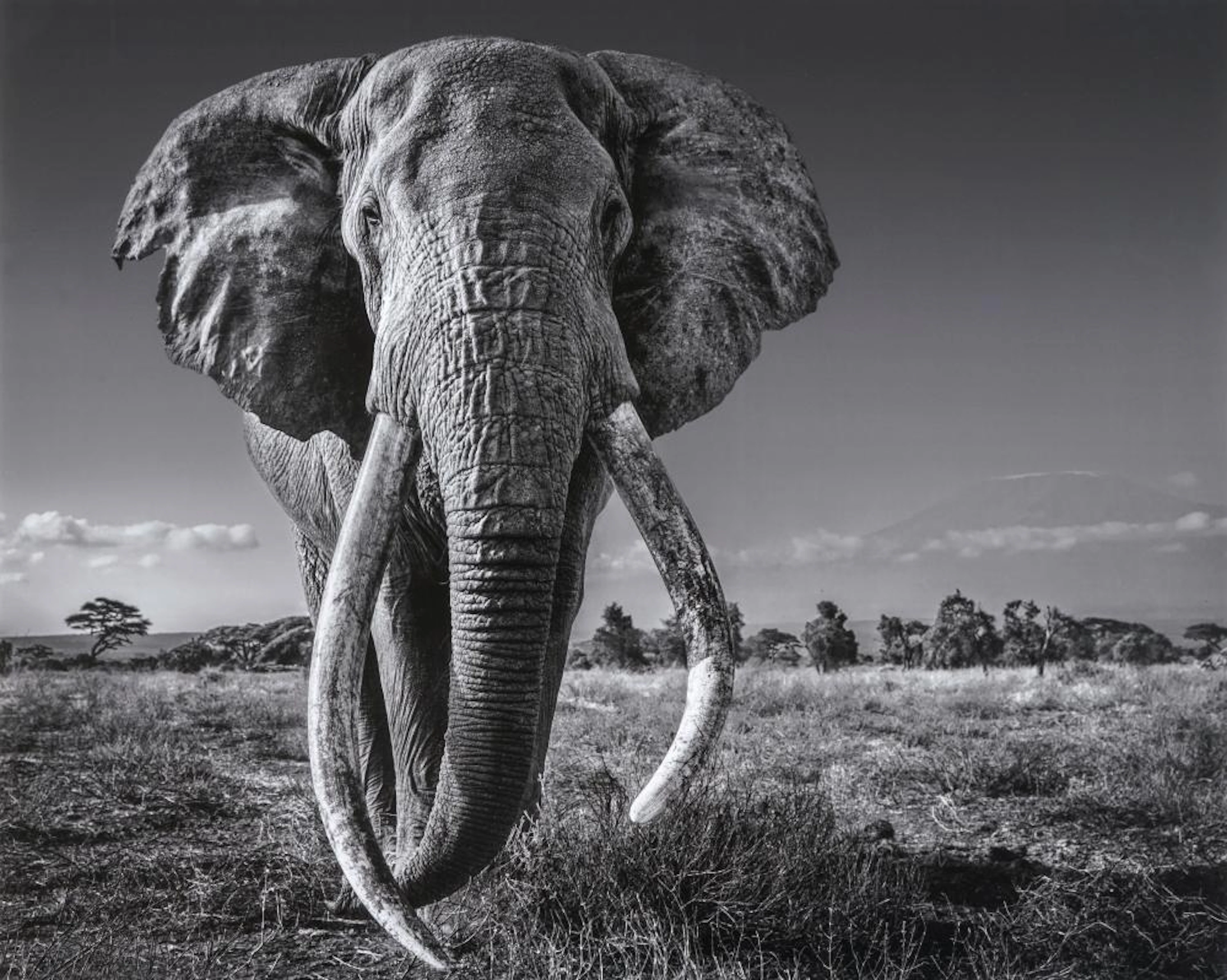 David Yarrow, Space for giants. 2020.
