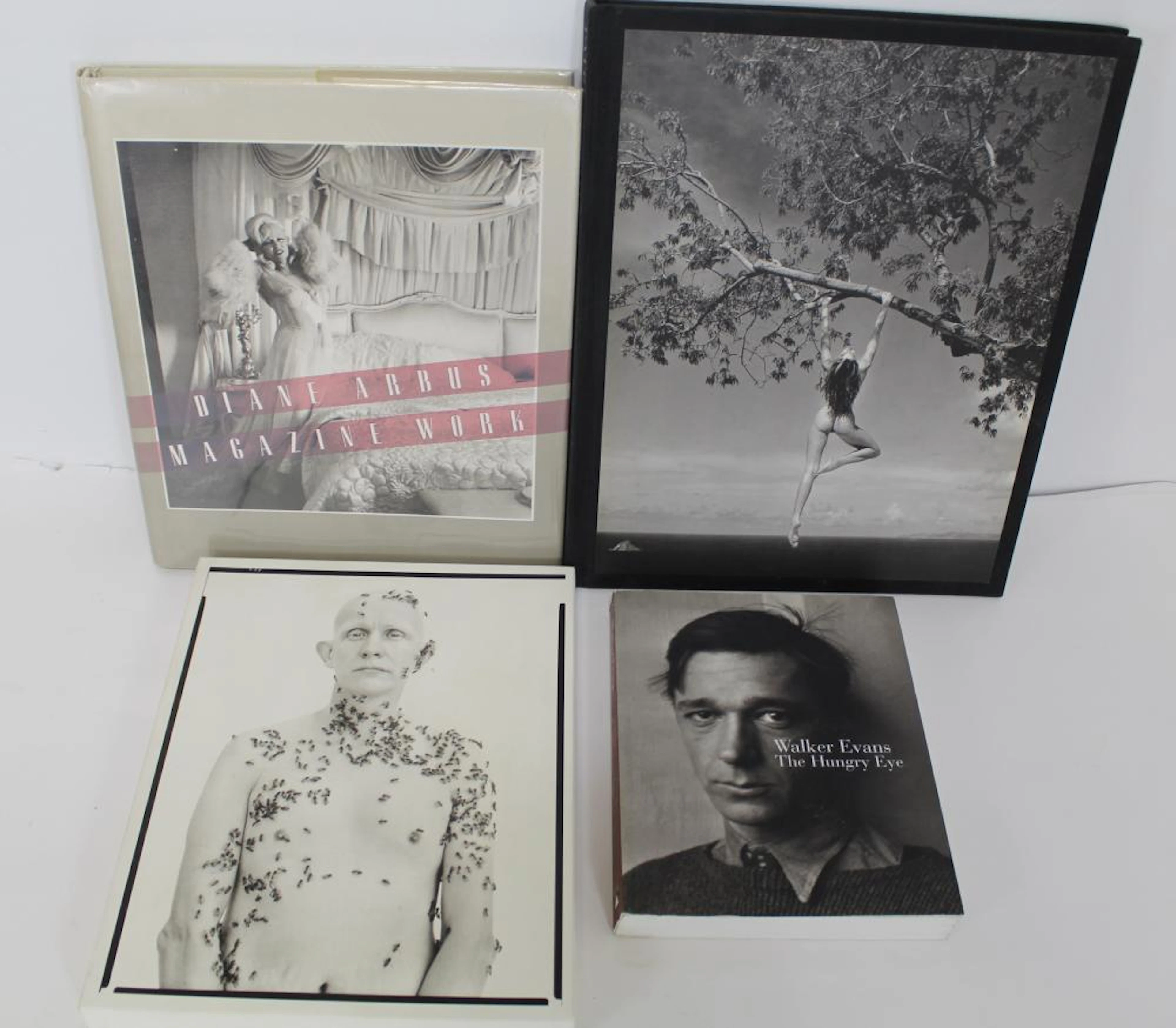 Avedon Arbus Evans Demarchelier Photography Books