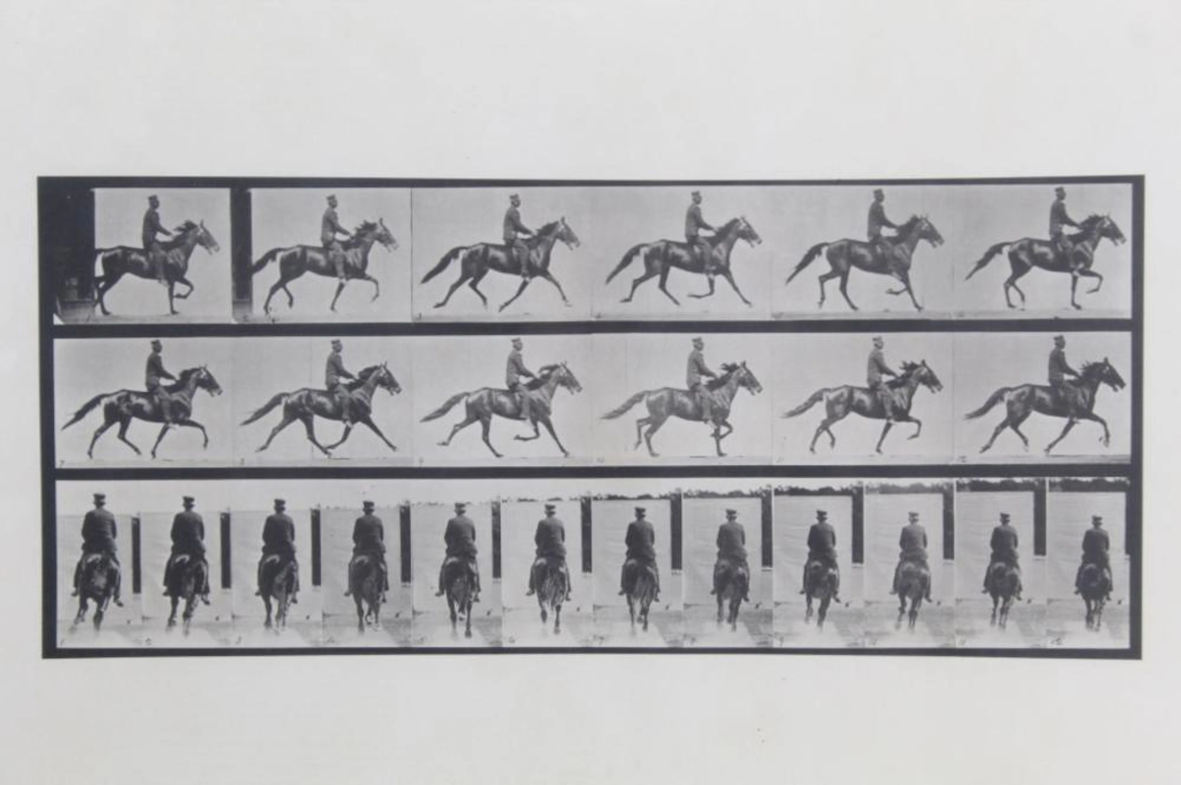 EADWEARD MUYBRIDGE 1887 COLLOTYPE HORSE