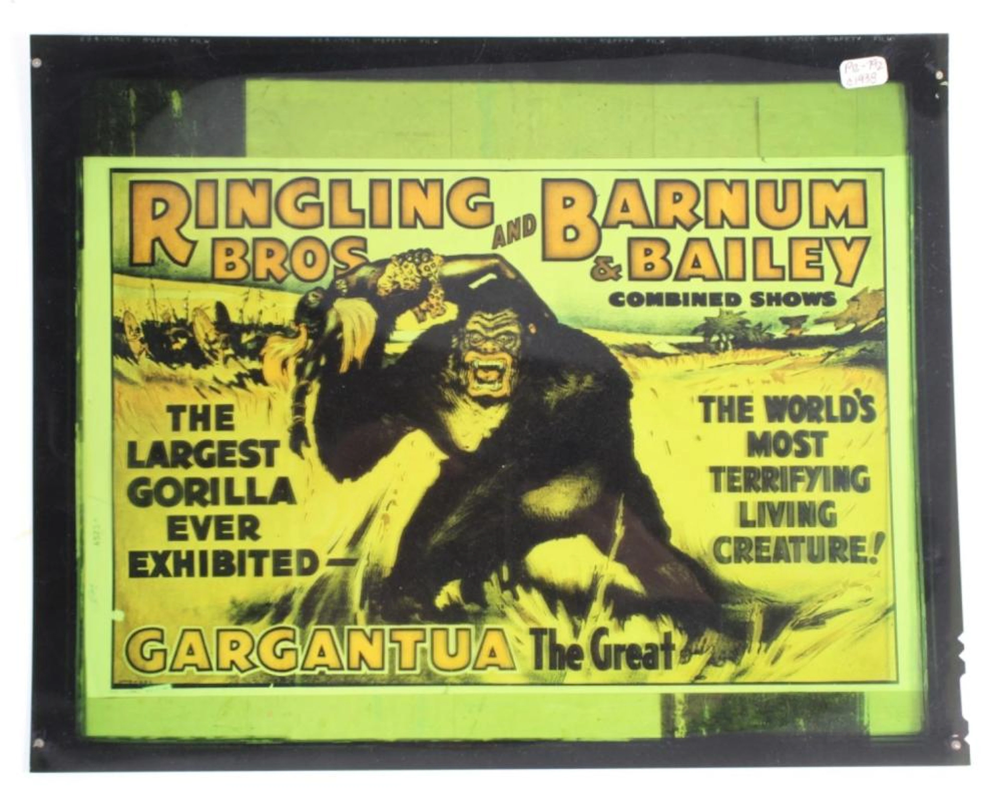 KODAK RINGLING BROS GARGANTUA TRANSPARENCY POSTER