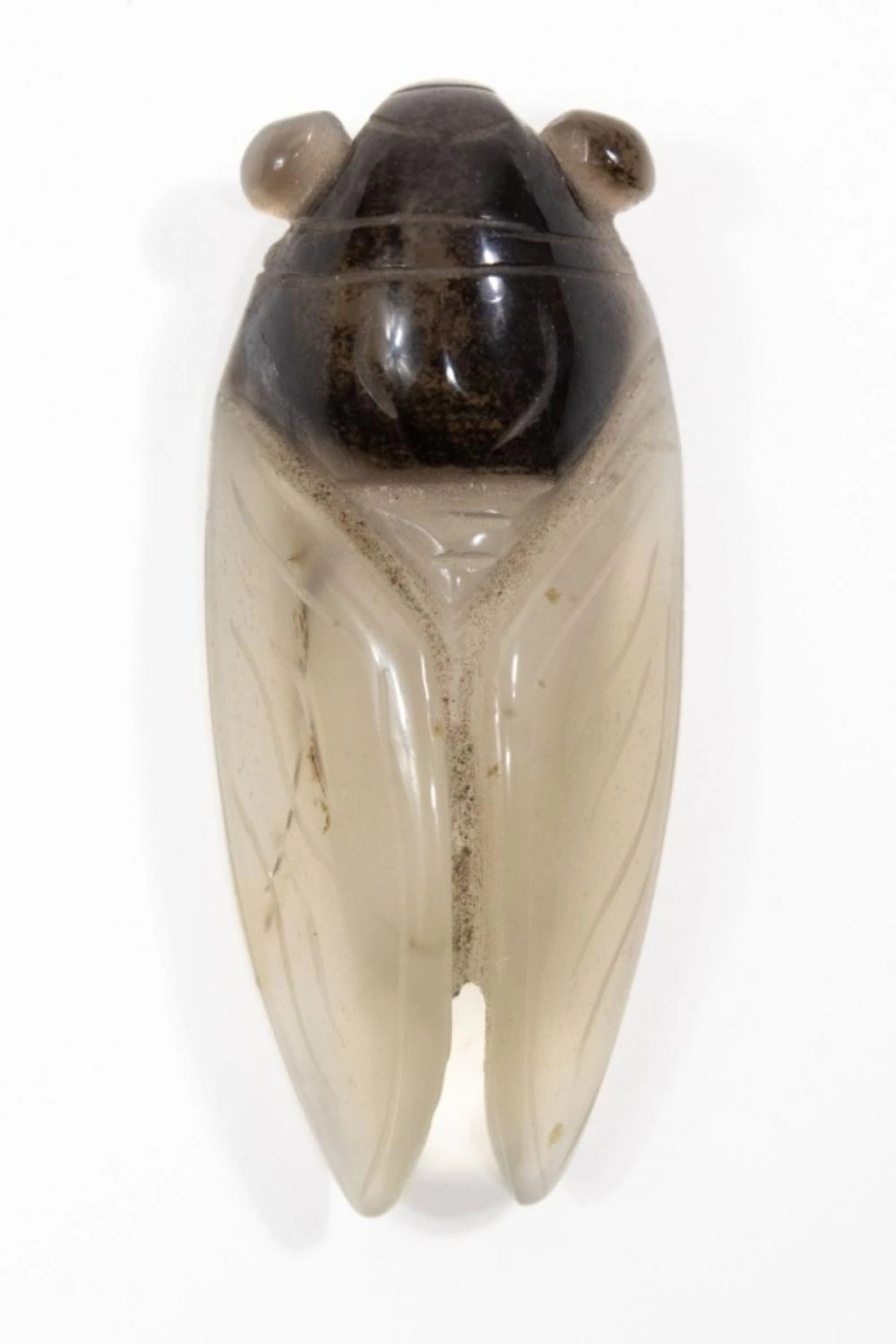 CHINESE TWO TONE AGATE CICADA 2.75"