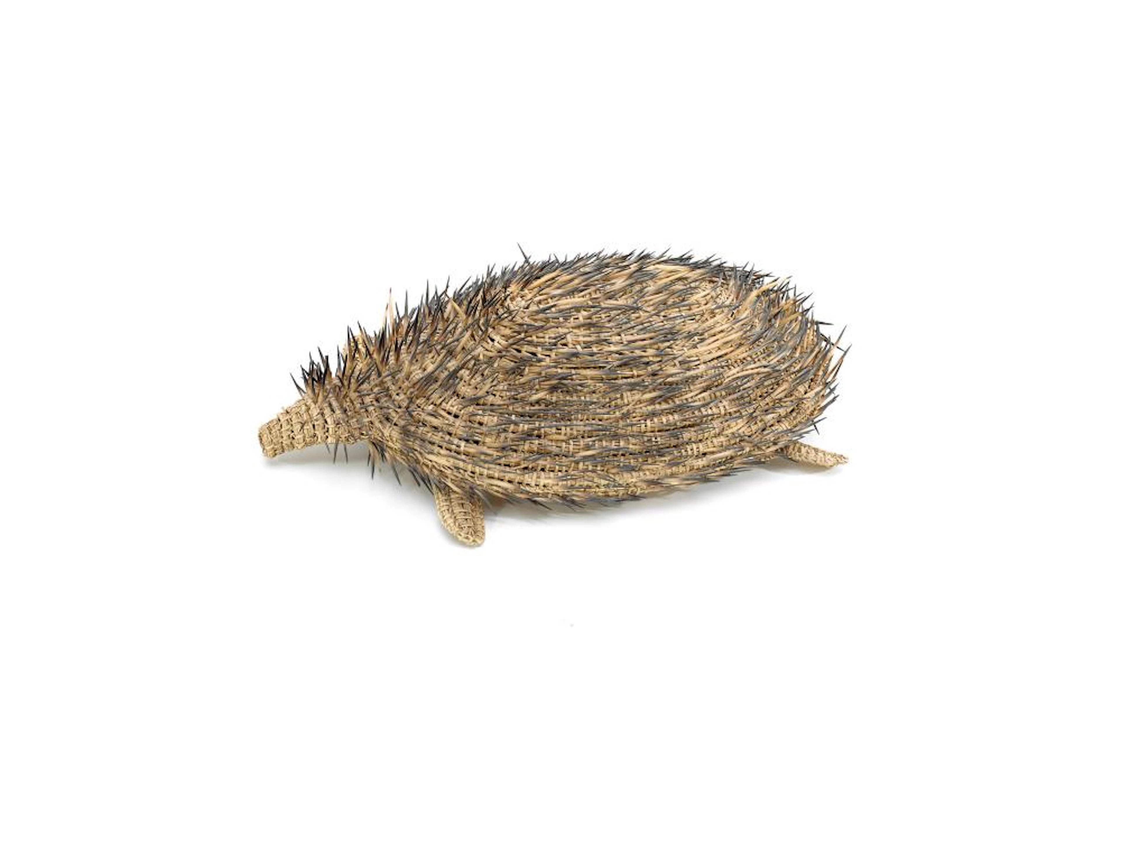 YVONNE KOOLMATRIE, born 1944, ECHIDNA, 2010, woven sedge rushes, echidna quills