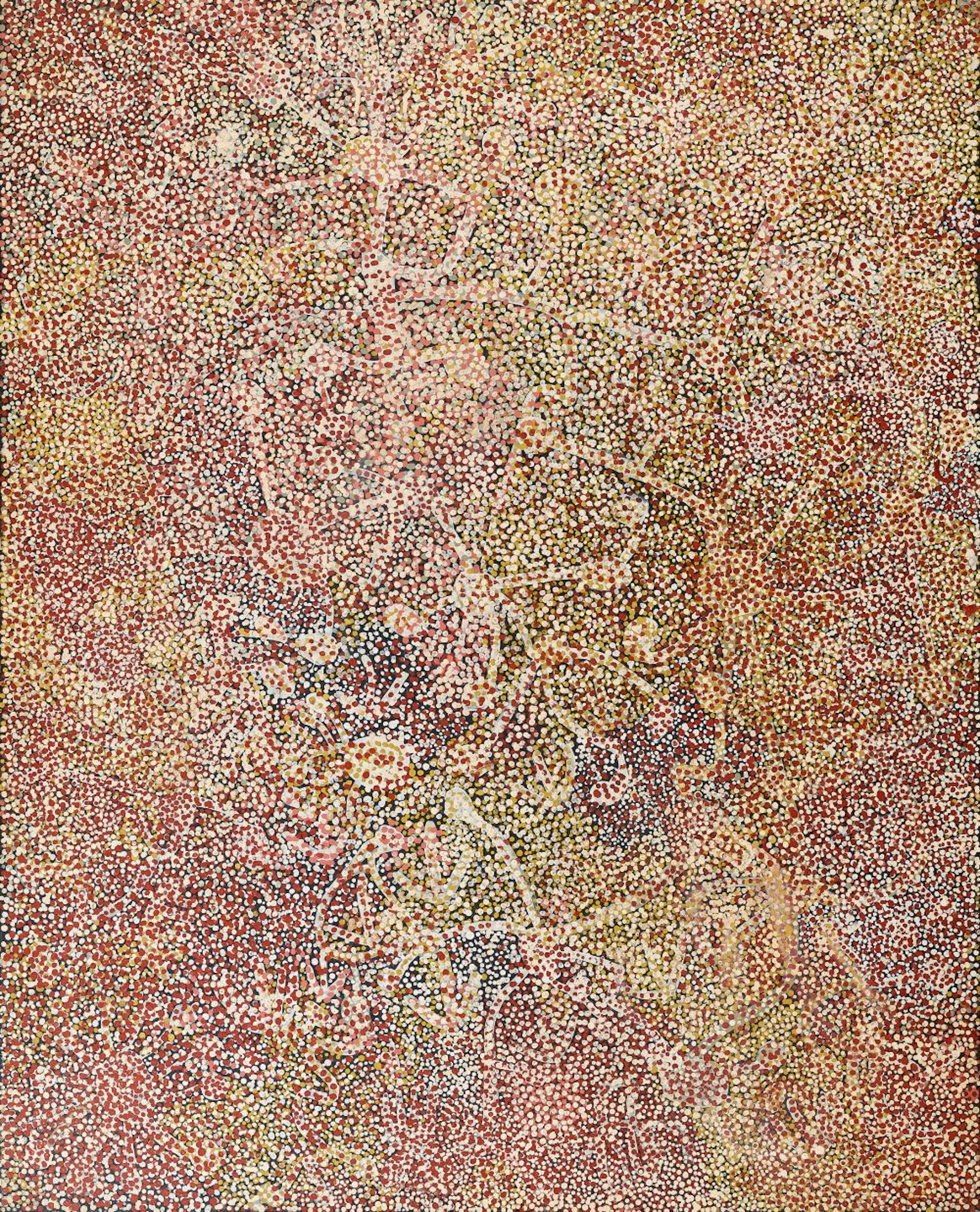 EMILY KAME KNGWARREYE, ANOORALYA (WILD YAM), 1989