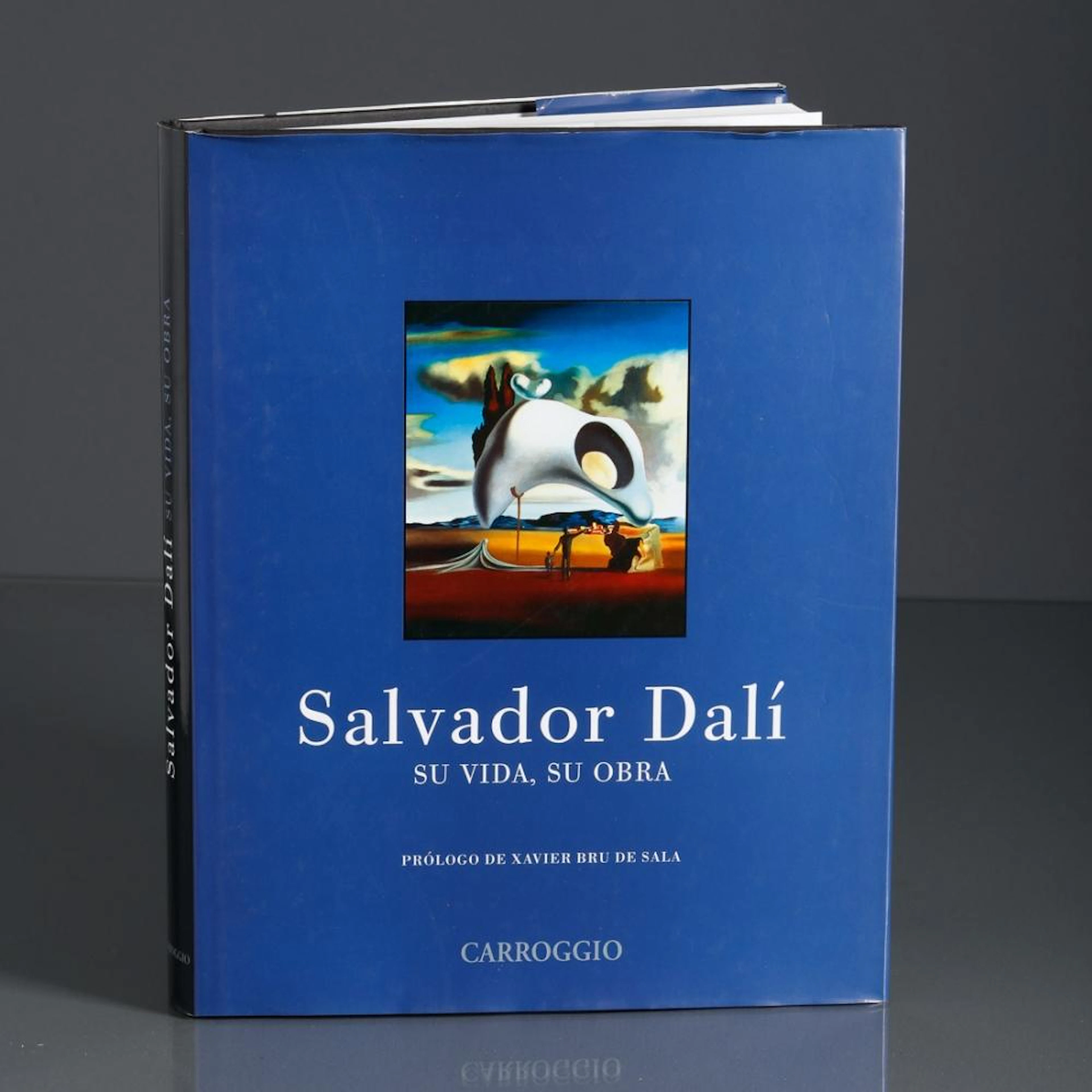 SALVADOR DALÍ SU VIDA, SU OBRA