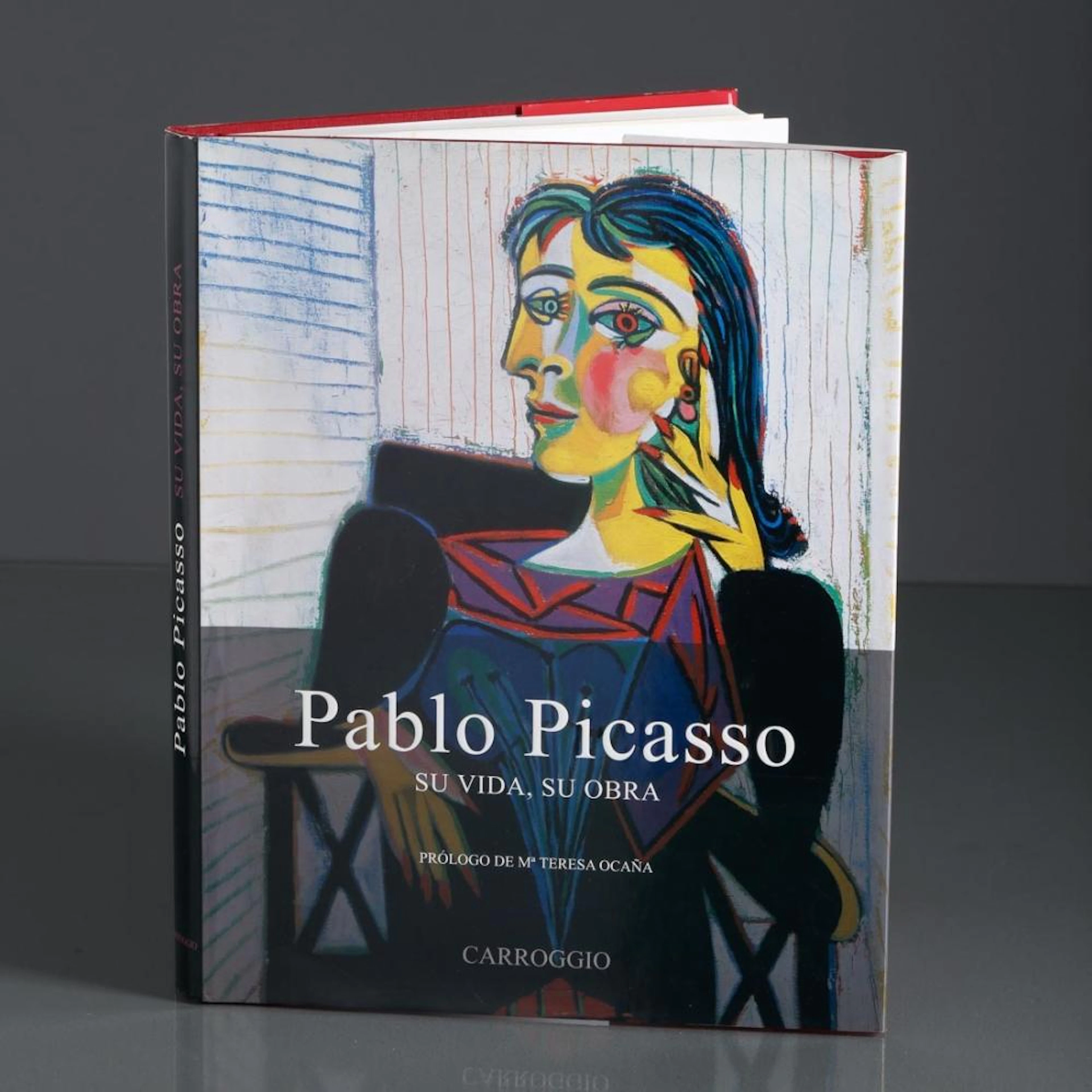 PABLO PICASSO SU VIDA, SU OBRA
