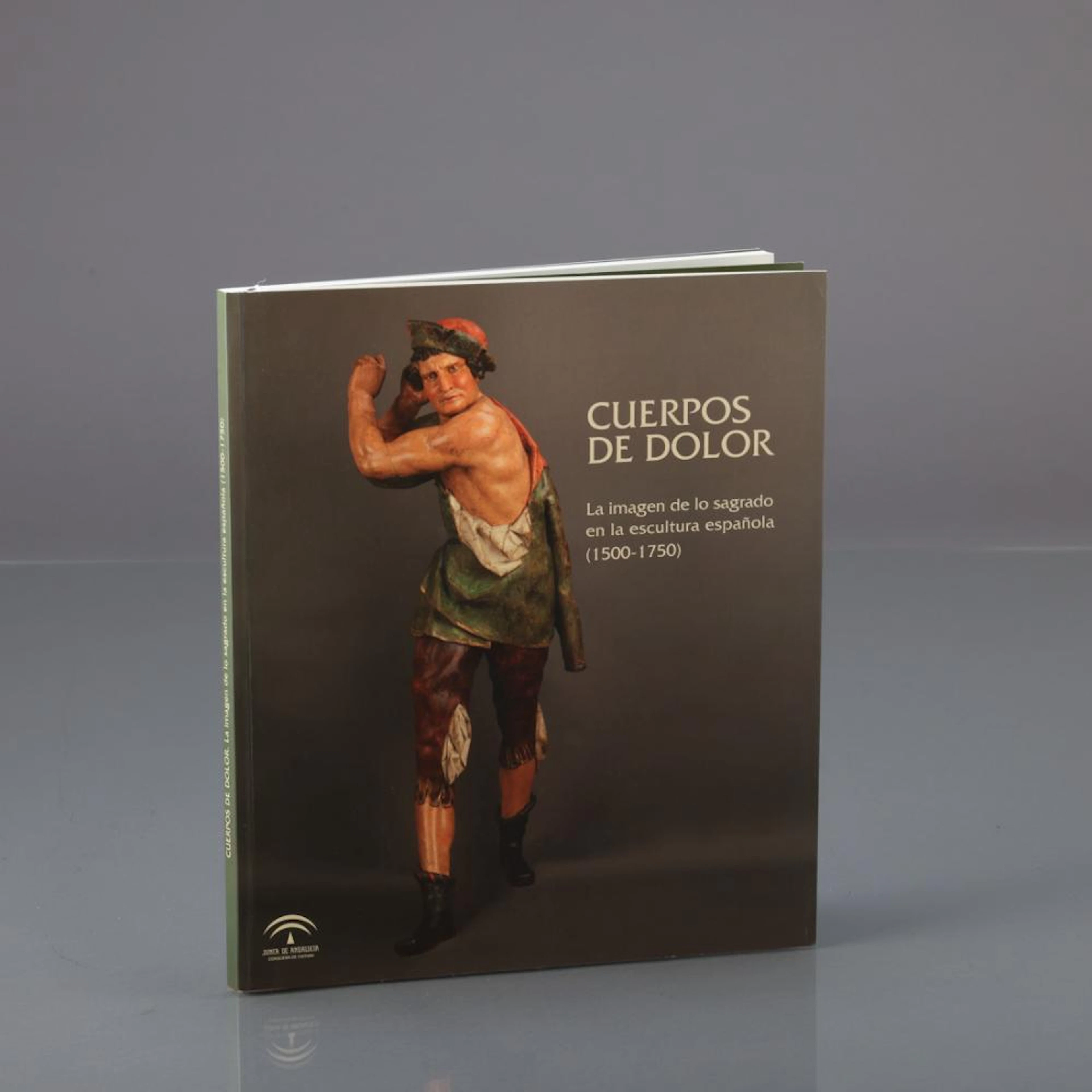 CLEROS DE DOLOR
