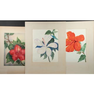 (3) 1930S HAWAII WATERCOLORS OF EXOTIC FLOWERS, UNFRAMED