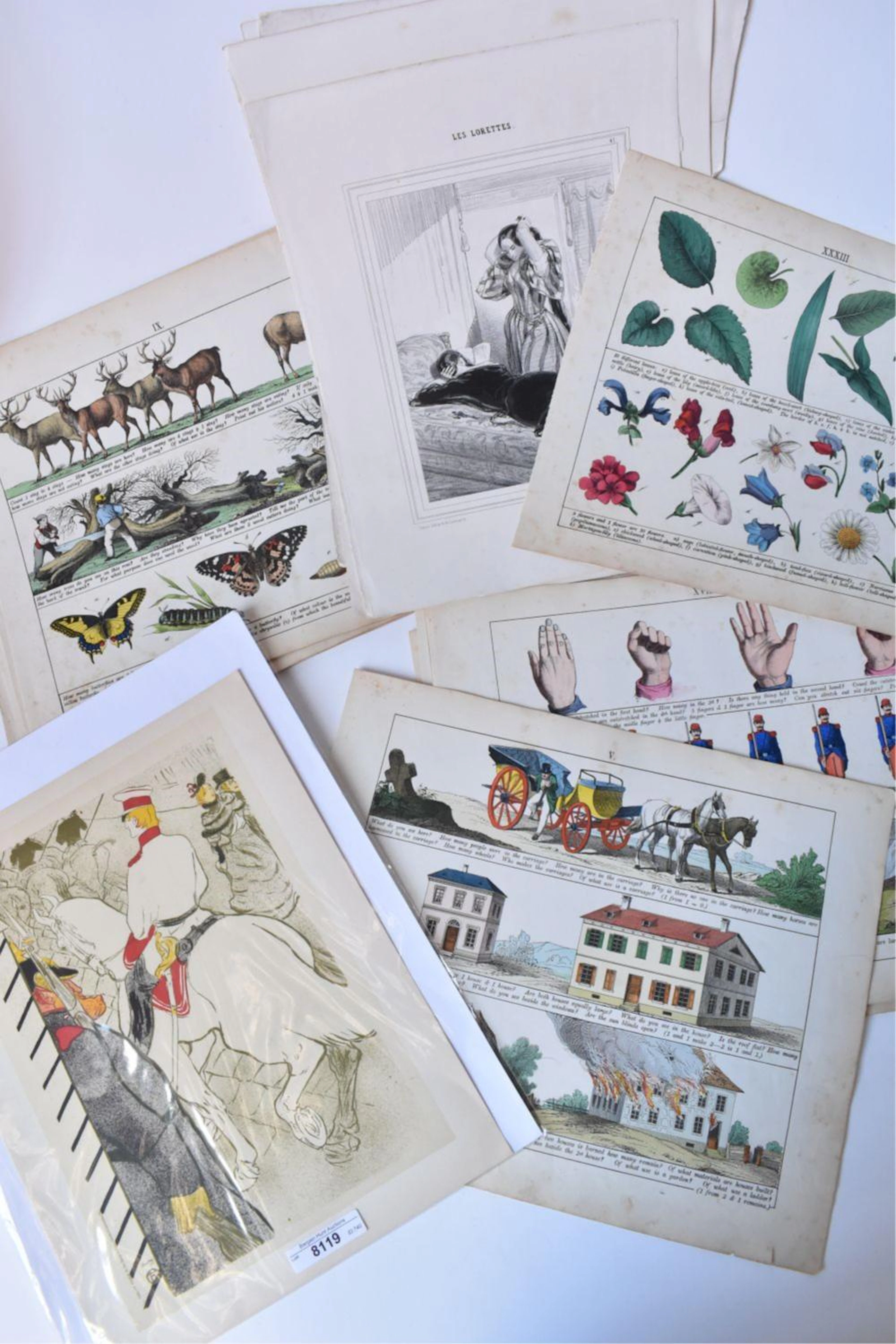An assortment of antique engravings and prints,