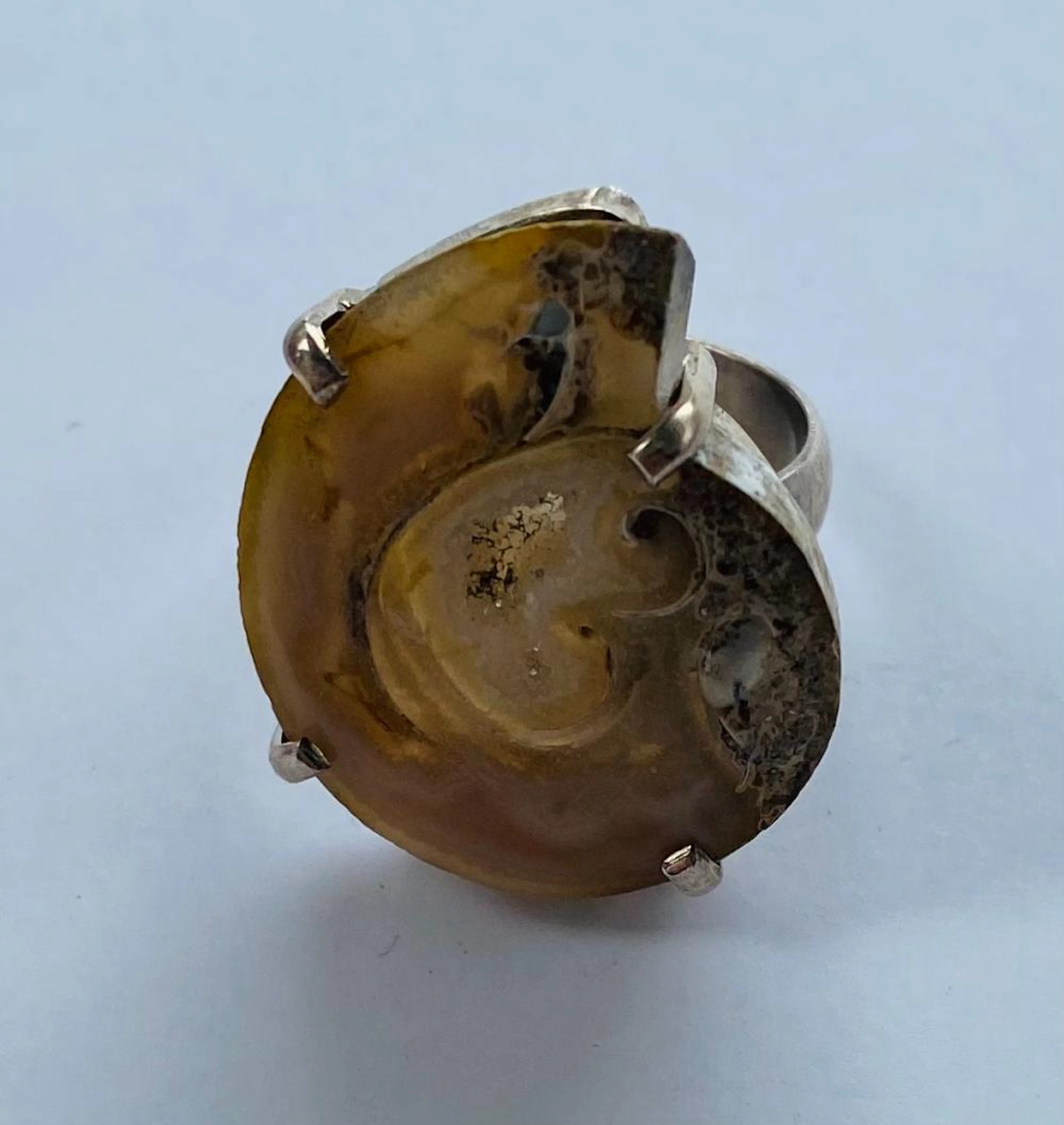 Ammonite sterling custom ring