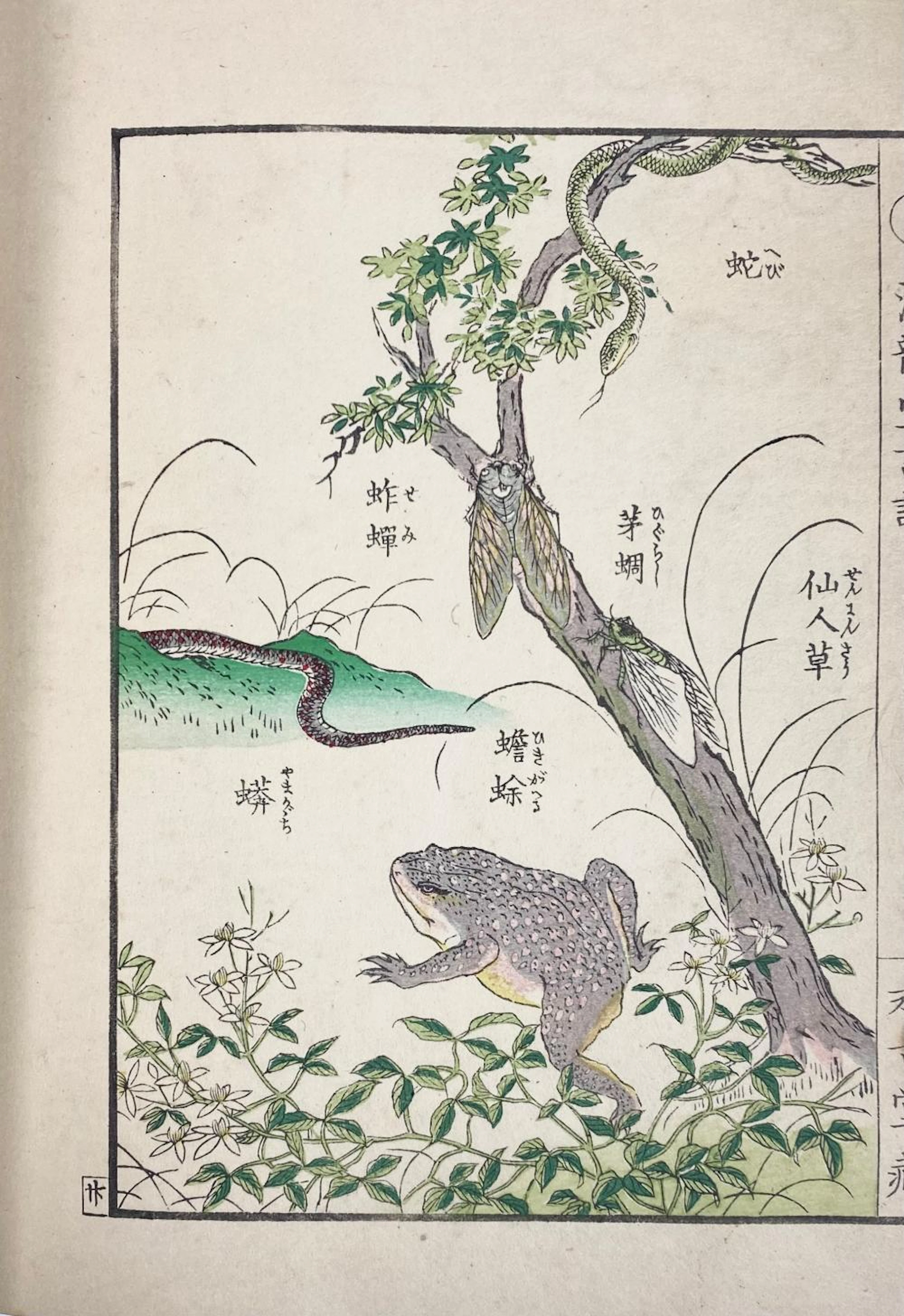 CHINA - JAPAN -- KONO BAIREI (1844-1895)
